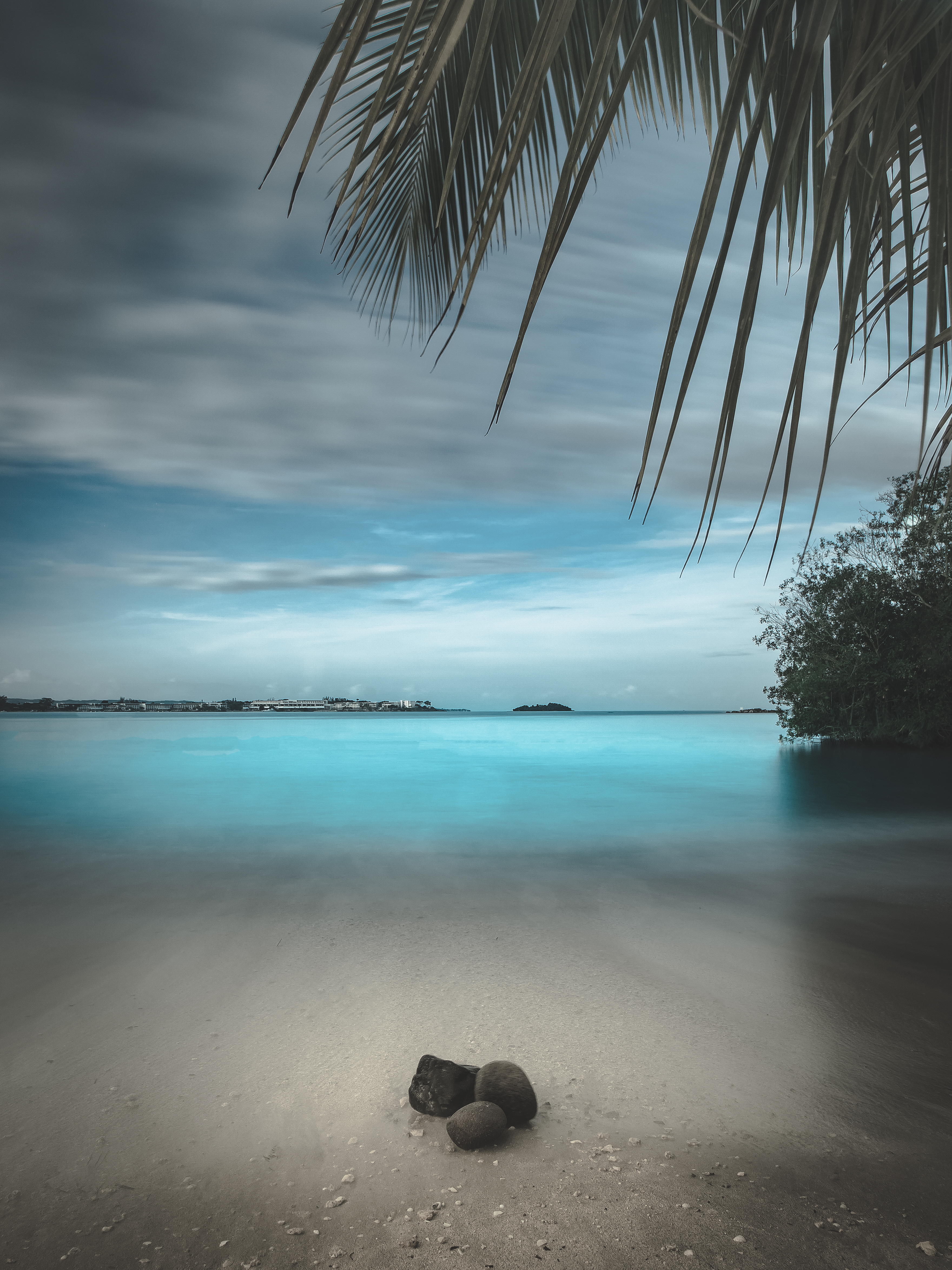 beach, stones, nature, sand, horizon, palm, branches Full HD