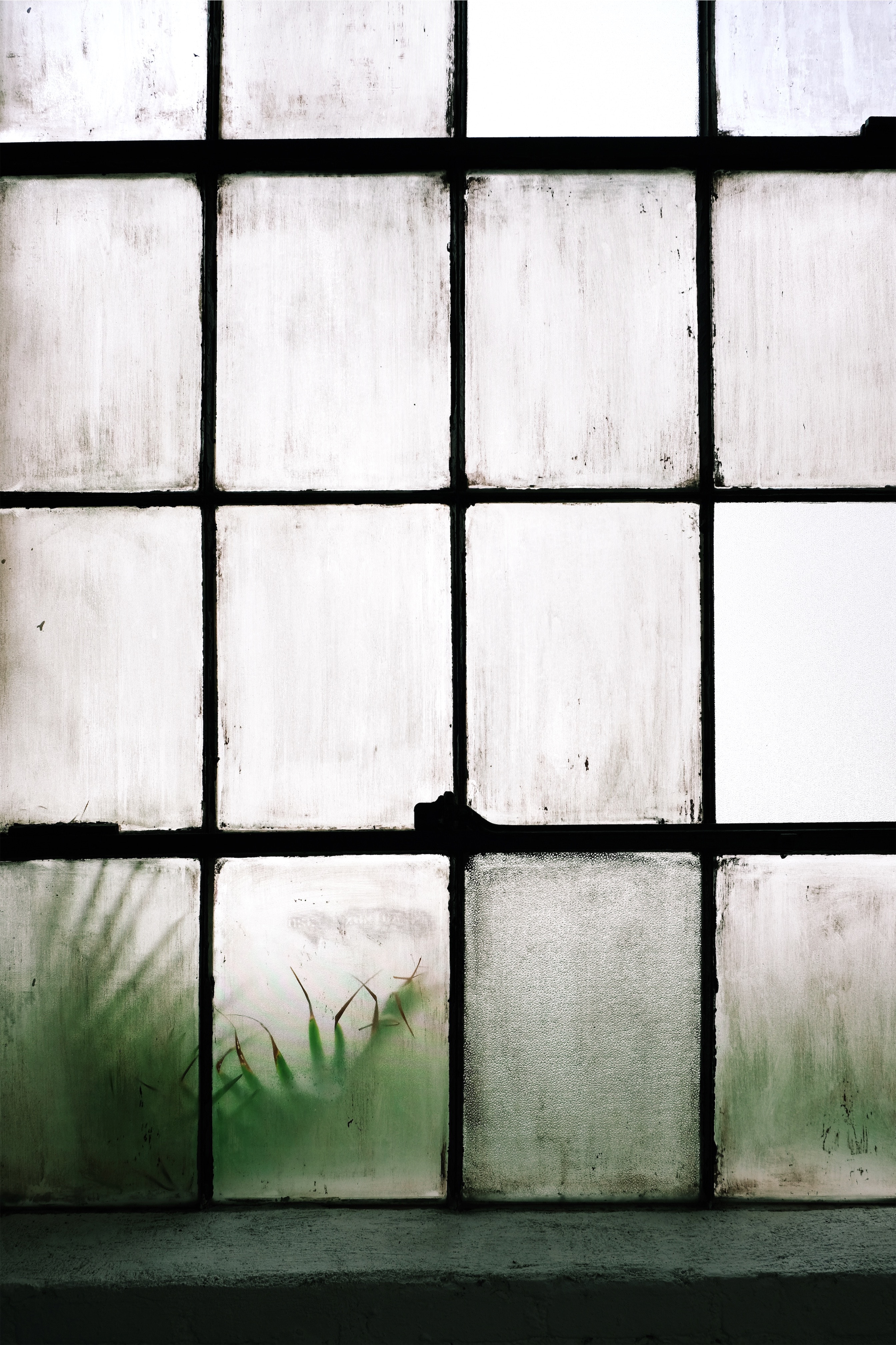 white, miscellanea, miscellaneous, glass, window, lattice, trellis, fogged up, weeping Image for desktop