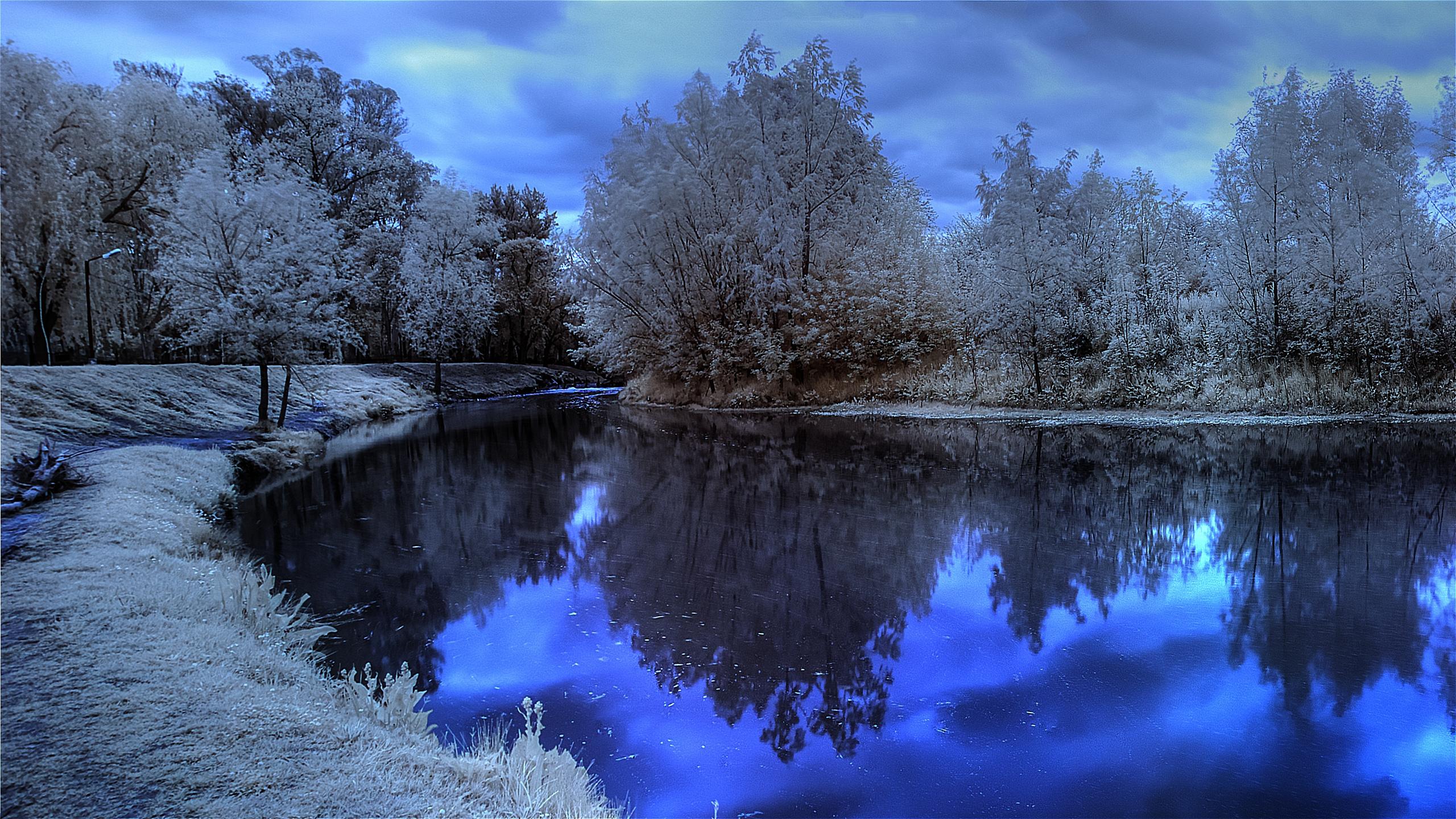 Baixe gratuitamente a imagem Inverno, Lago, Árvore, Terra/natureza, Reflecção na área de trabalho do seu PC