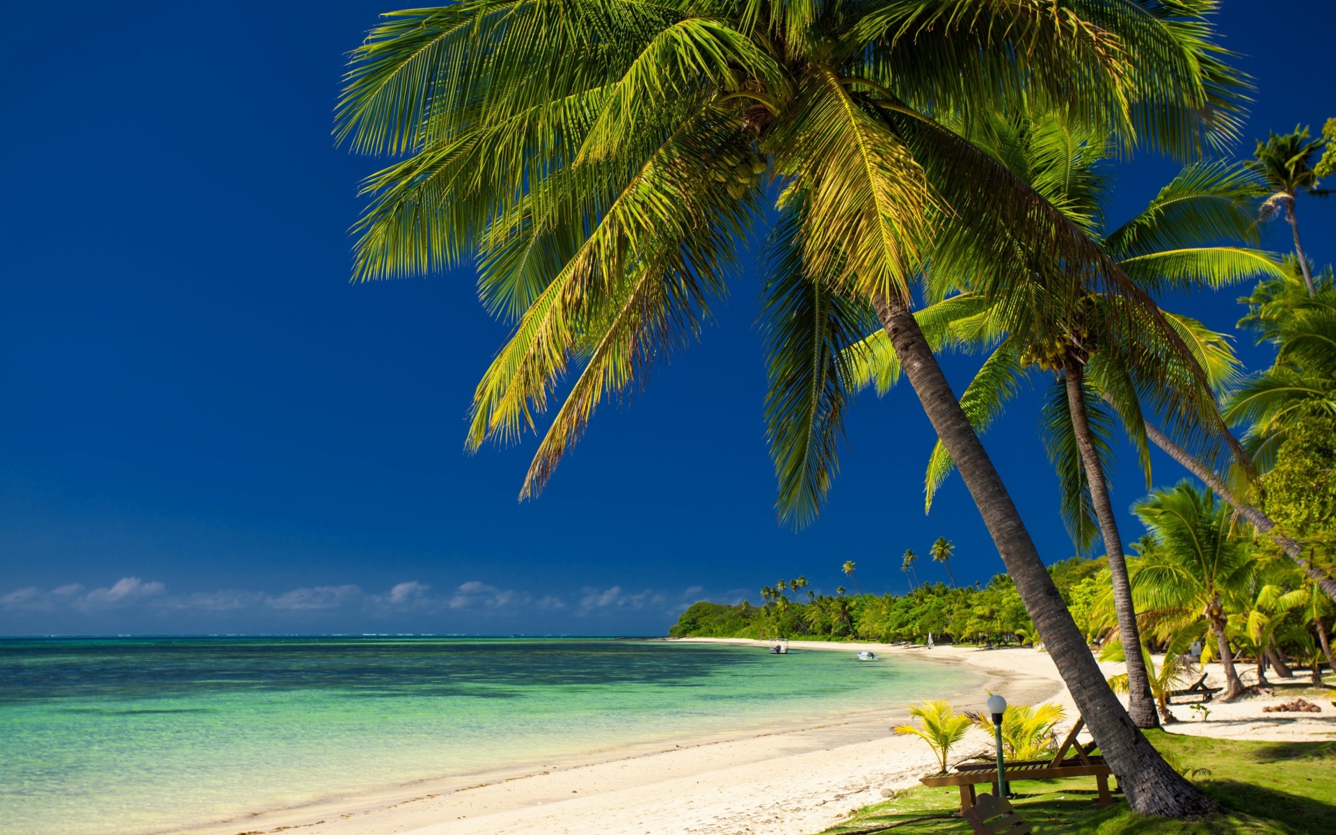 Free download wallpaper Sea, Beach, Ocean, Earth, Tropics, Photography, Palm Tree on your PC desktop