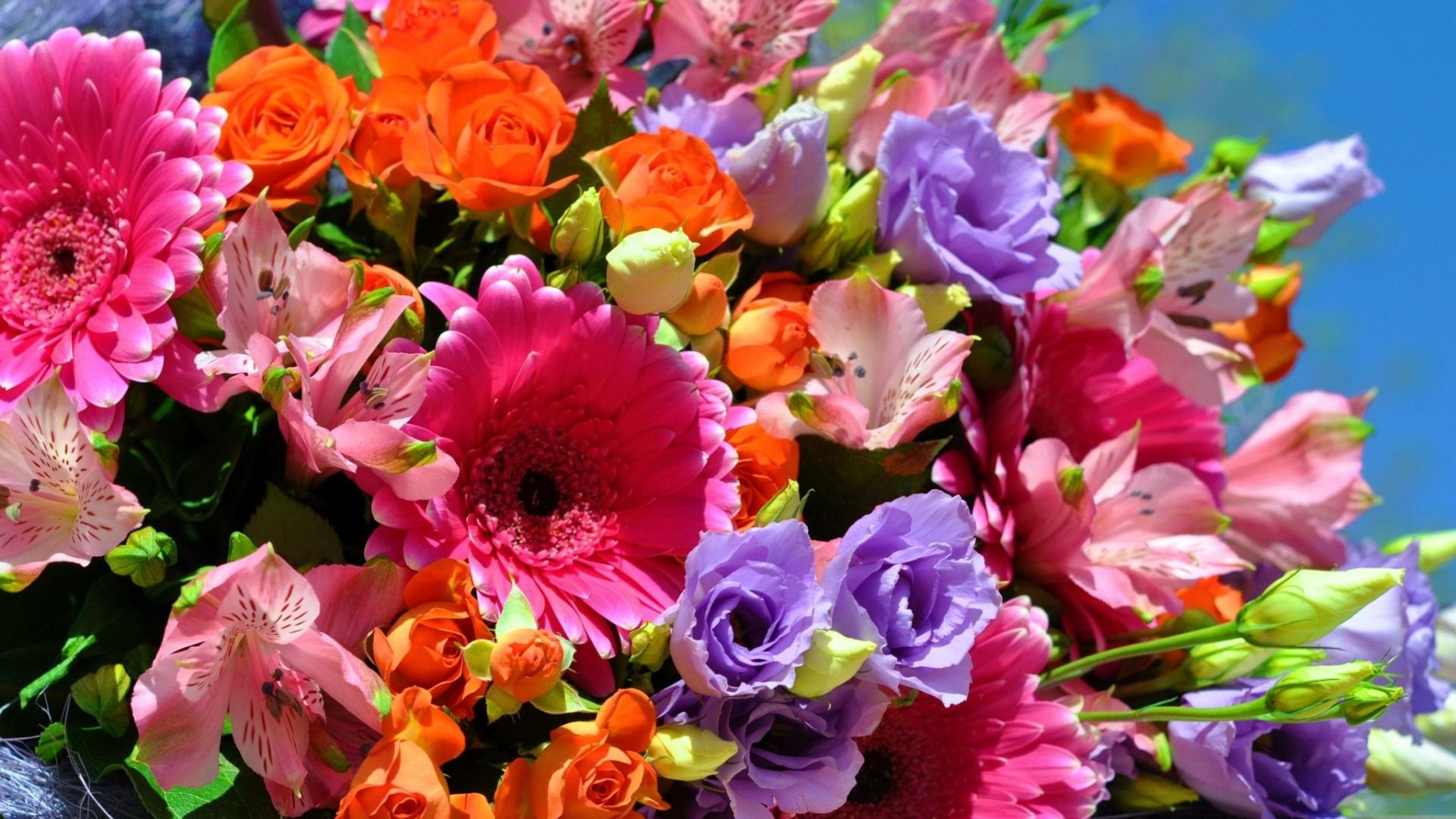 Handy-Wallpaper Blumen, Gerbera, Blume, Rose, Strauß, Nahansicht, Bunt, Lilie, Erde/natur kostenlos herunterladen.