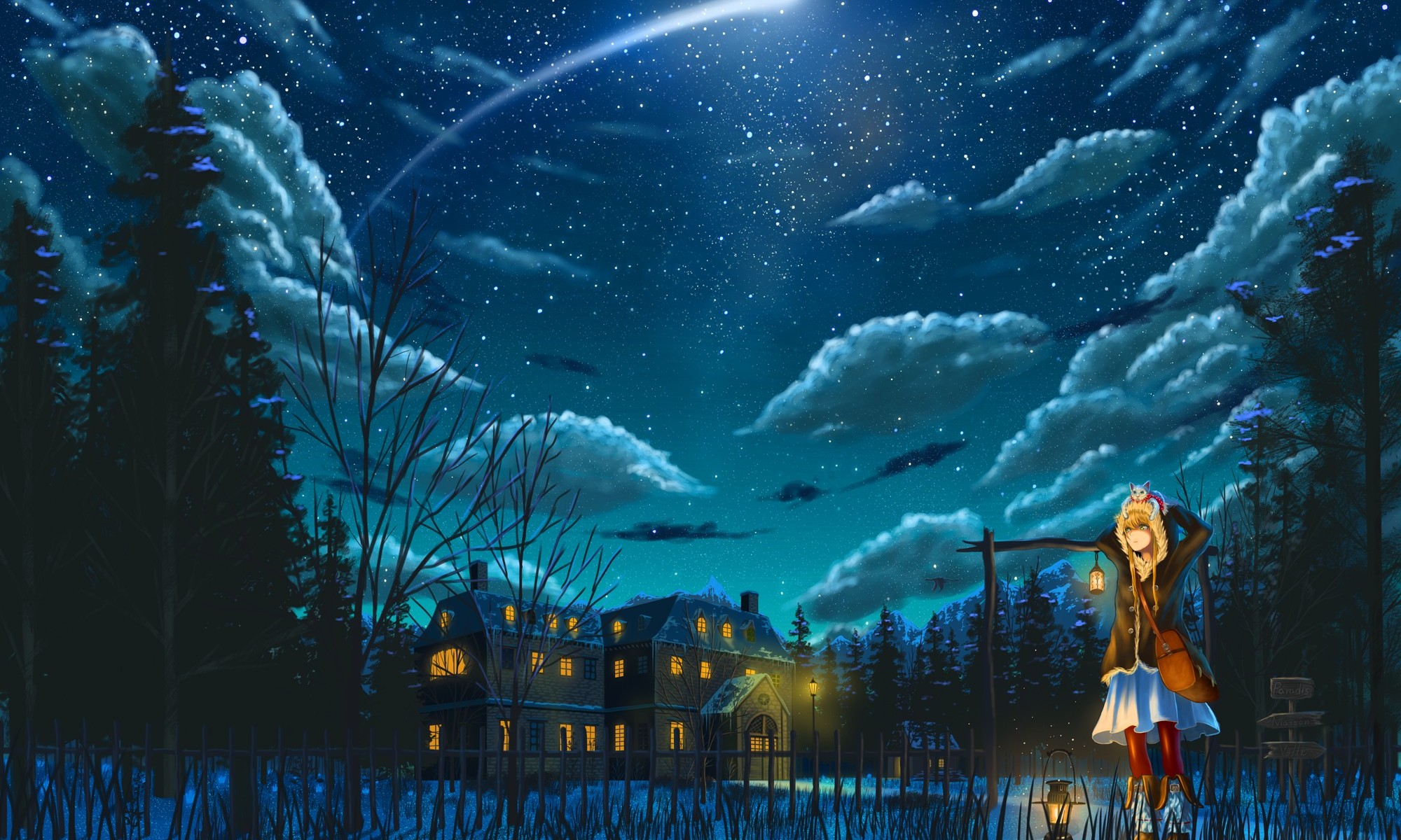Download mobile wallpaper Anime, Sky, Stars, Night, Pixiv Fantasia for free.
