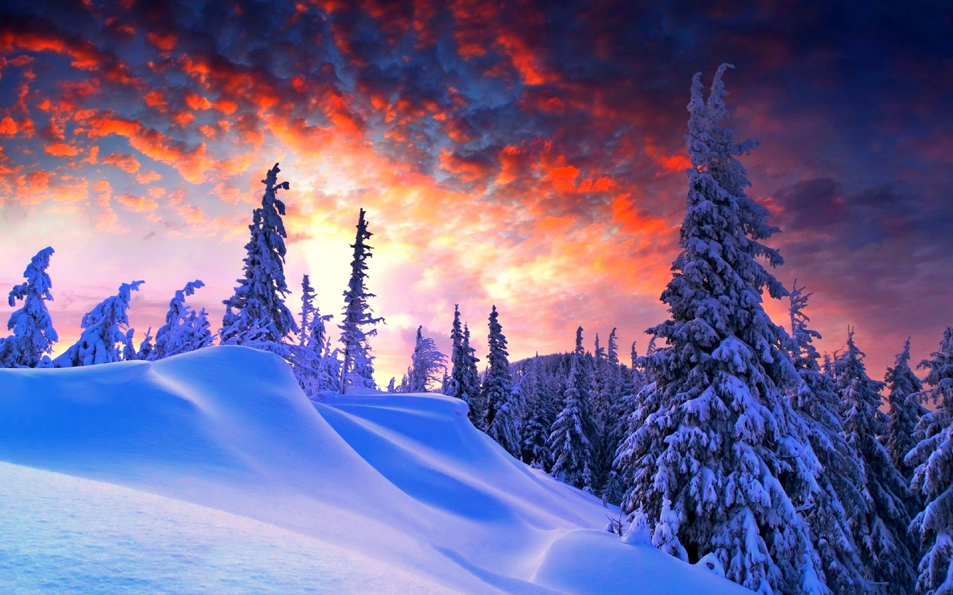 Download mobile wallpaper Winter, Earth for free.