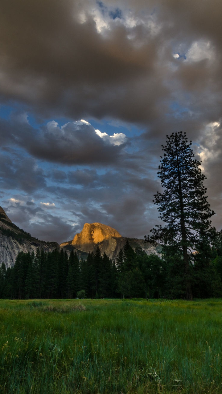 Baixar papel de parede para celular de Paisagem, Céu, Montanha, Floresta, Terra, Parque Nacional, Nuvem, Parque Nacional De Yosemite, Terra/natureza gratuito.