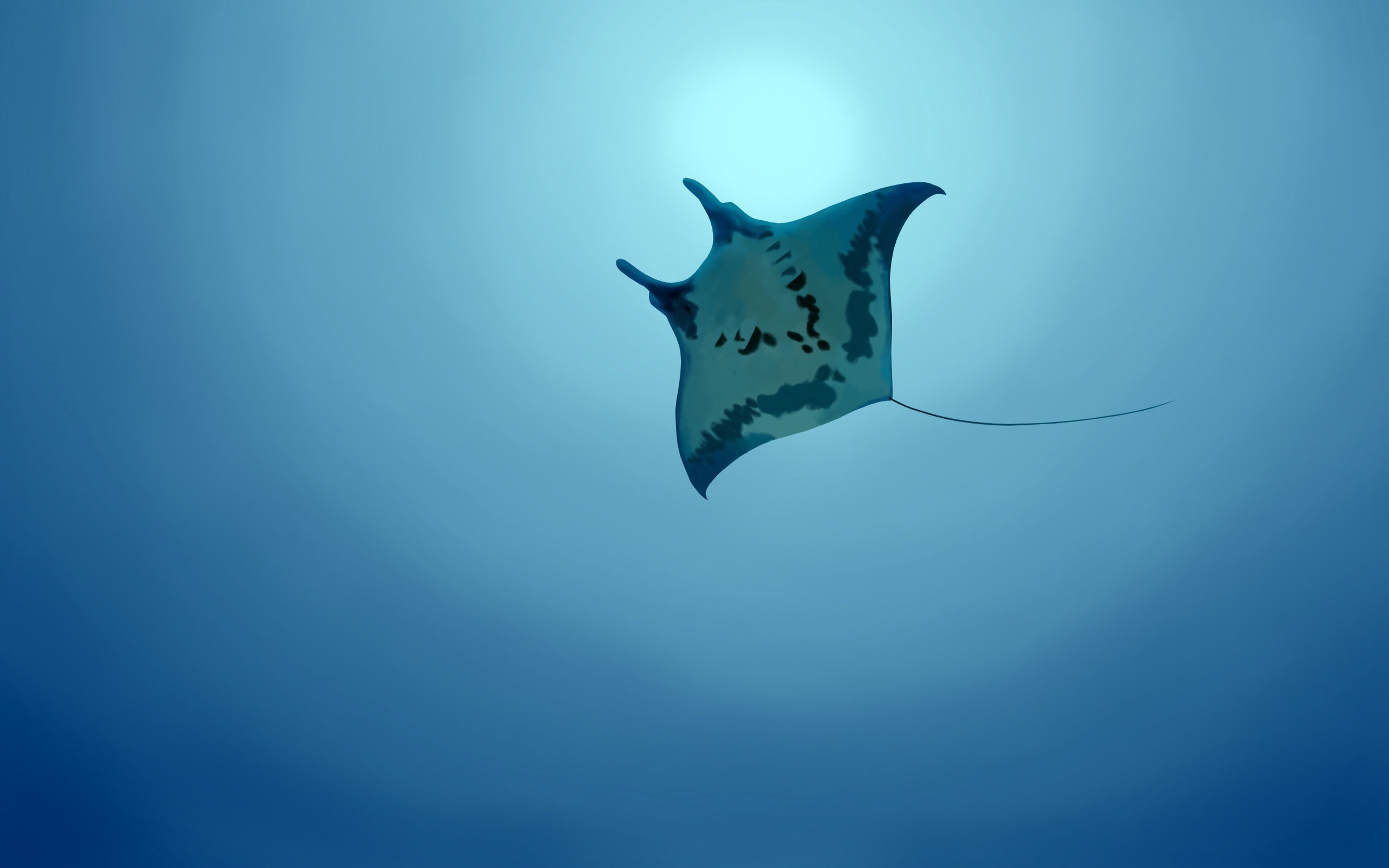 animal, manta ray