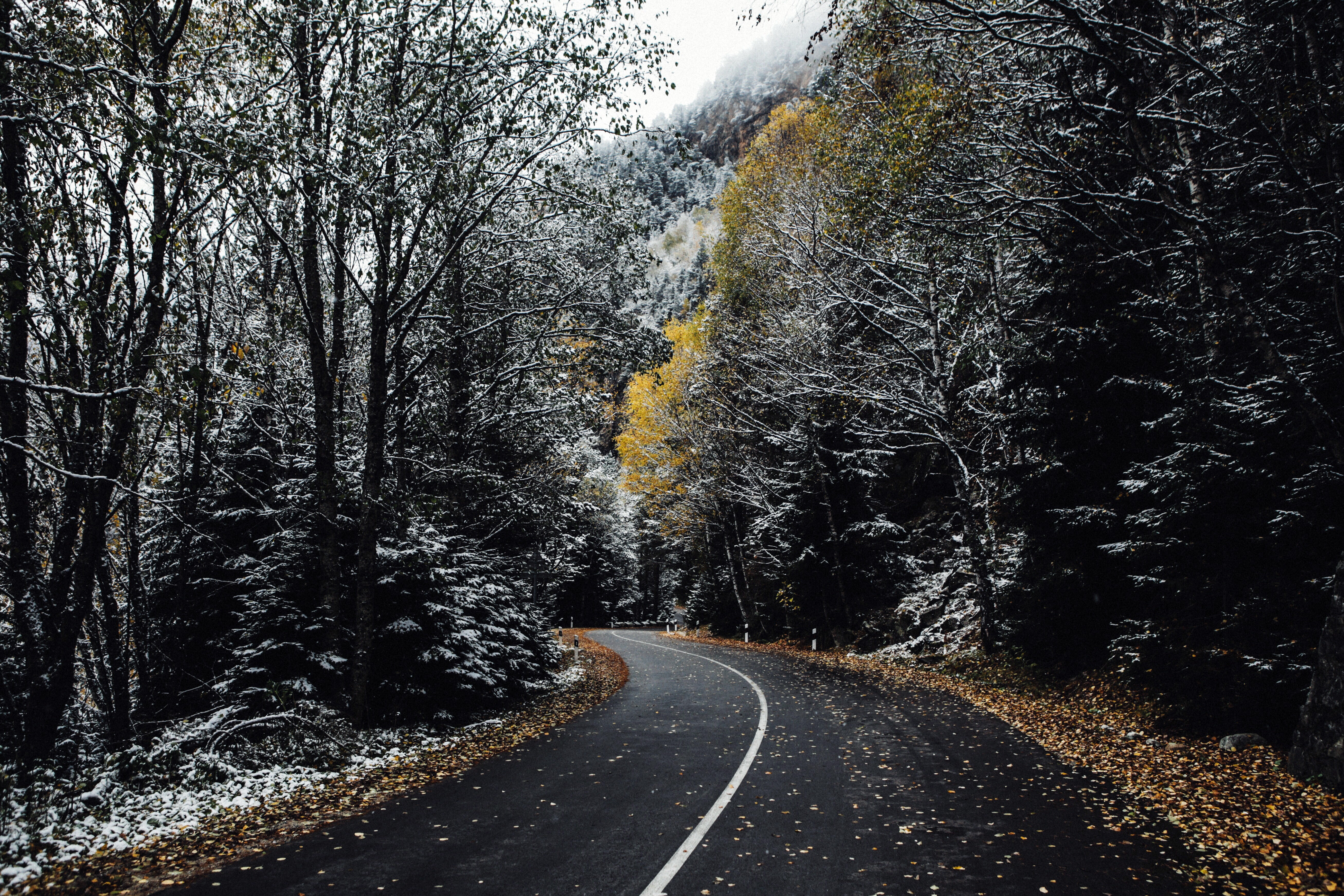 Free download wallpaper Nature, Road, Forest, Tree, Man Made on your PC desktop