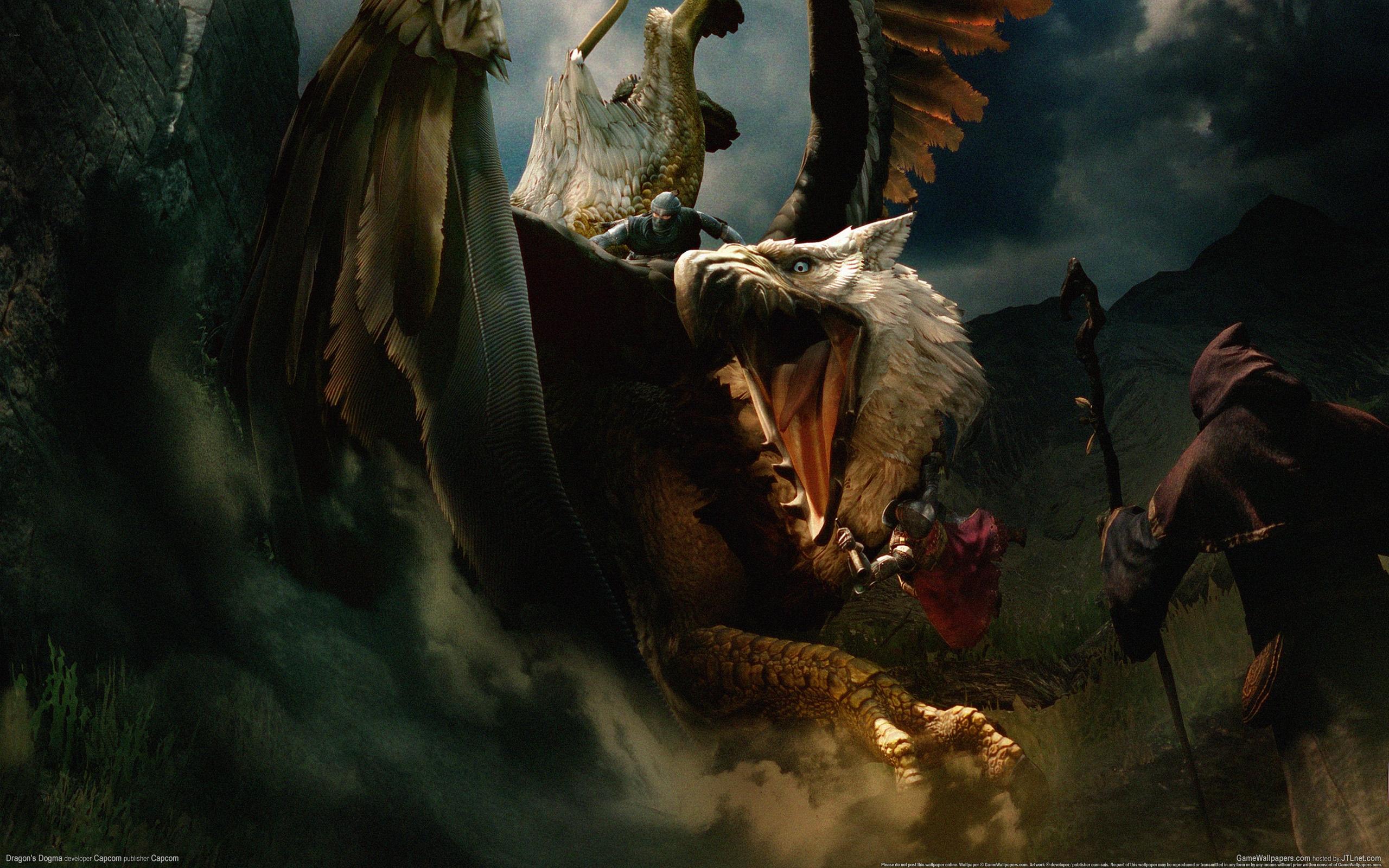 554523 Hintergrundbild herunterladen computerspiele, dragon's dogma: dark arisen - Bildschirmschoner und Bilder kostenlos