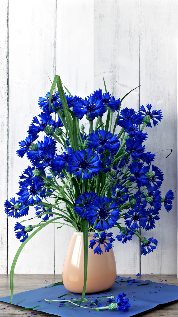 無料モバイル壁紙静物, 花, 花瓶, ヤグルマギク, 写真撮影, 青い花をダウンロードします。