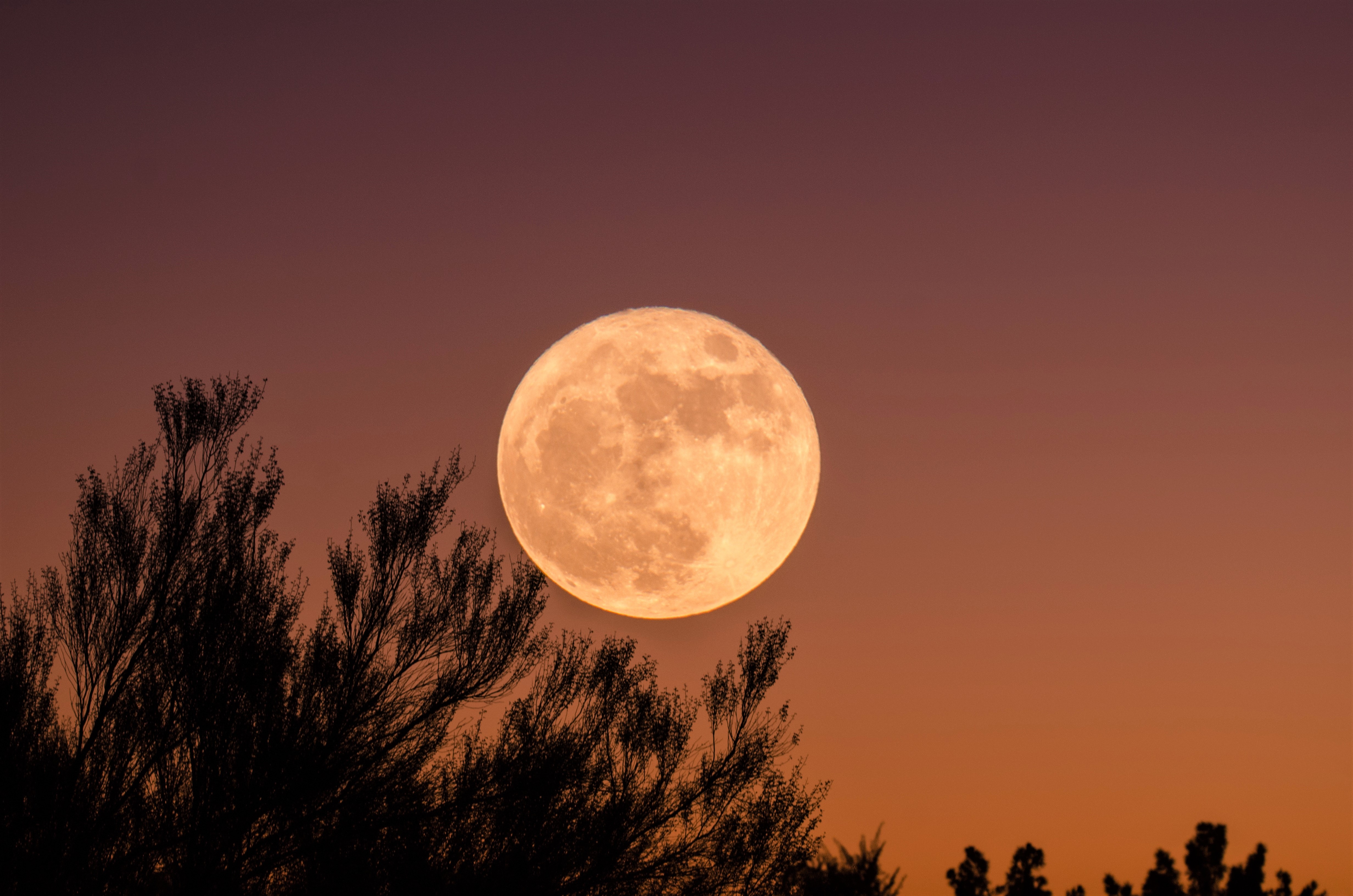 Téléchargez gratuitement l'image Lune, Silhouette, Ciel, Terre/nature sur le bureau de votre PC