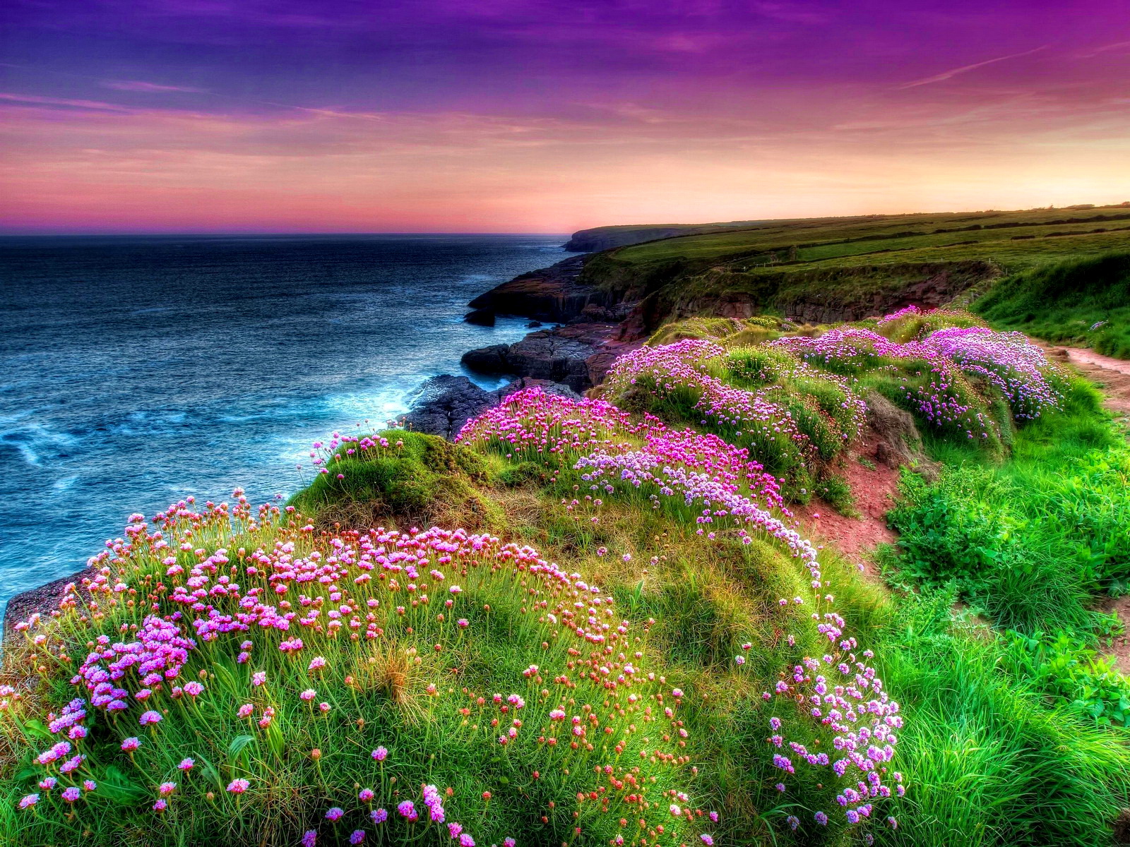 Laden Sie das Natur, Blume, Küste, Ozean, Hdr, Gras, Erde/natur-Bild kostenlos auf Ihren PC-Desktop herunter