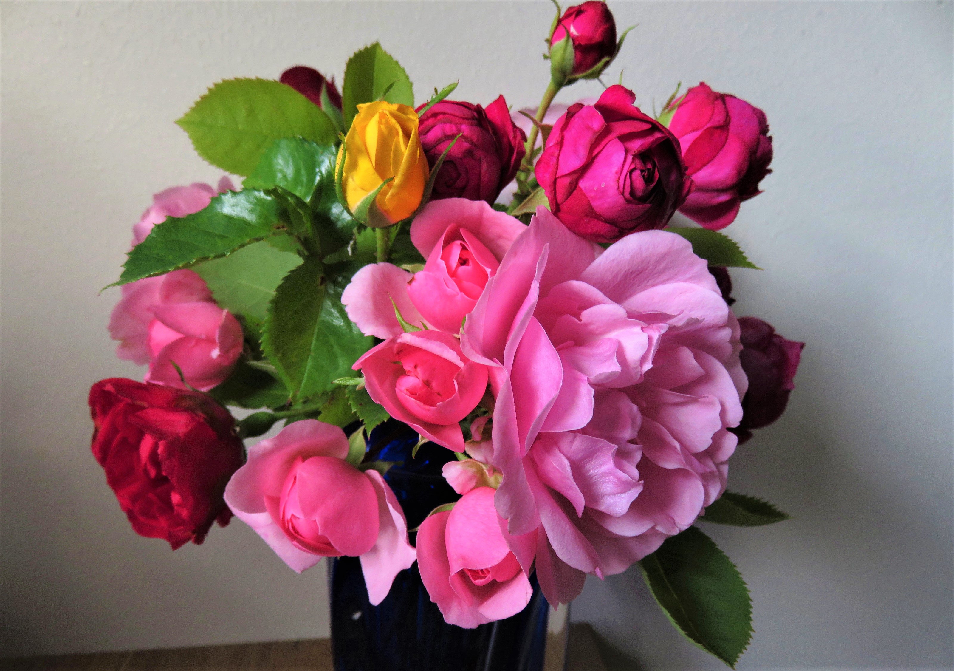 Download mobile wallpaper Flower, Rose, Earth, Vase, Colorful, Man Made, Pink Flower for free.
