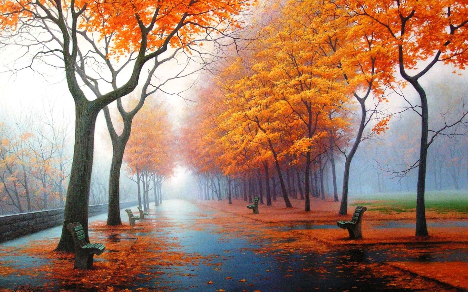 landscape, streets, trees, autumn