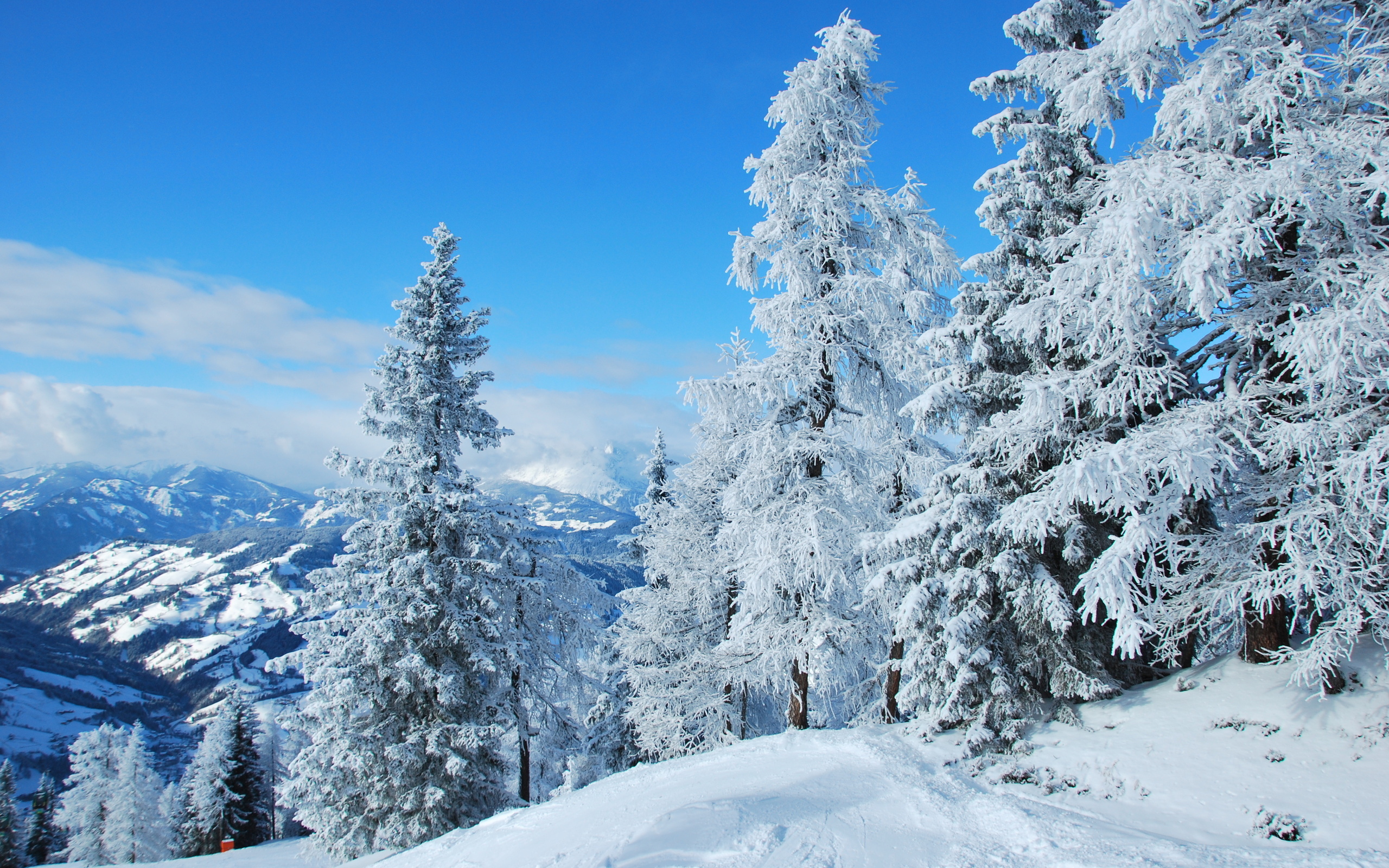 Скачать картинку Зима, Снег, Дерево, Ландшафт, Земля/природа в телефон бесплатно.