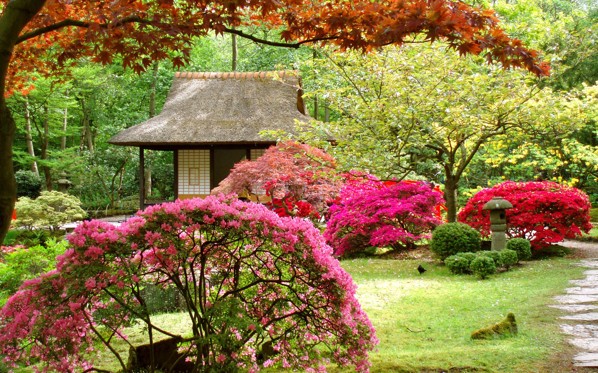 Laden Sie das Garten, Menschengemacht-Bild kostenlos auf Ihren PC-Desktop herunter