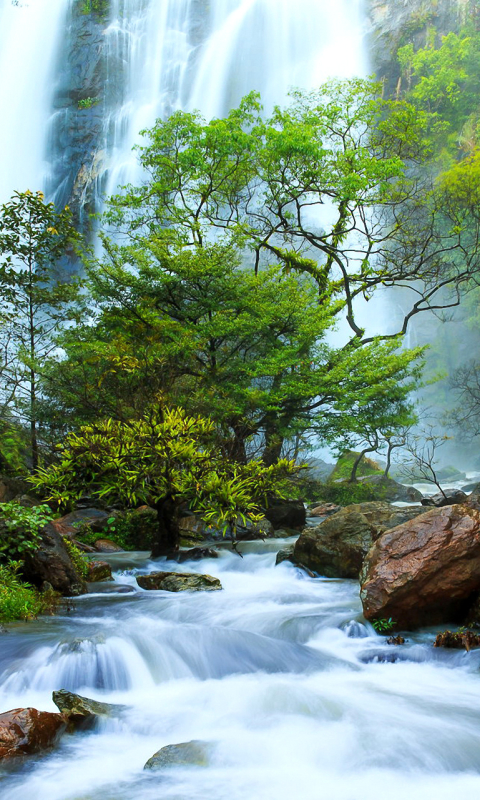 Скачать картинку Природа, Река, Водопады, Водопад, Лес, Дерево, Земля, Зеленый, Ручей, Земля/природа в телефон бесплатно.