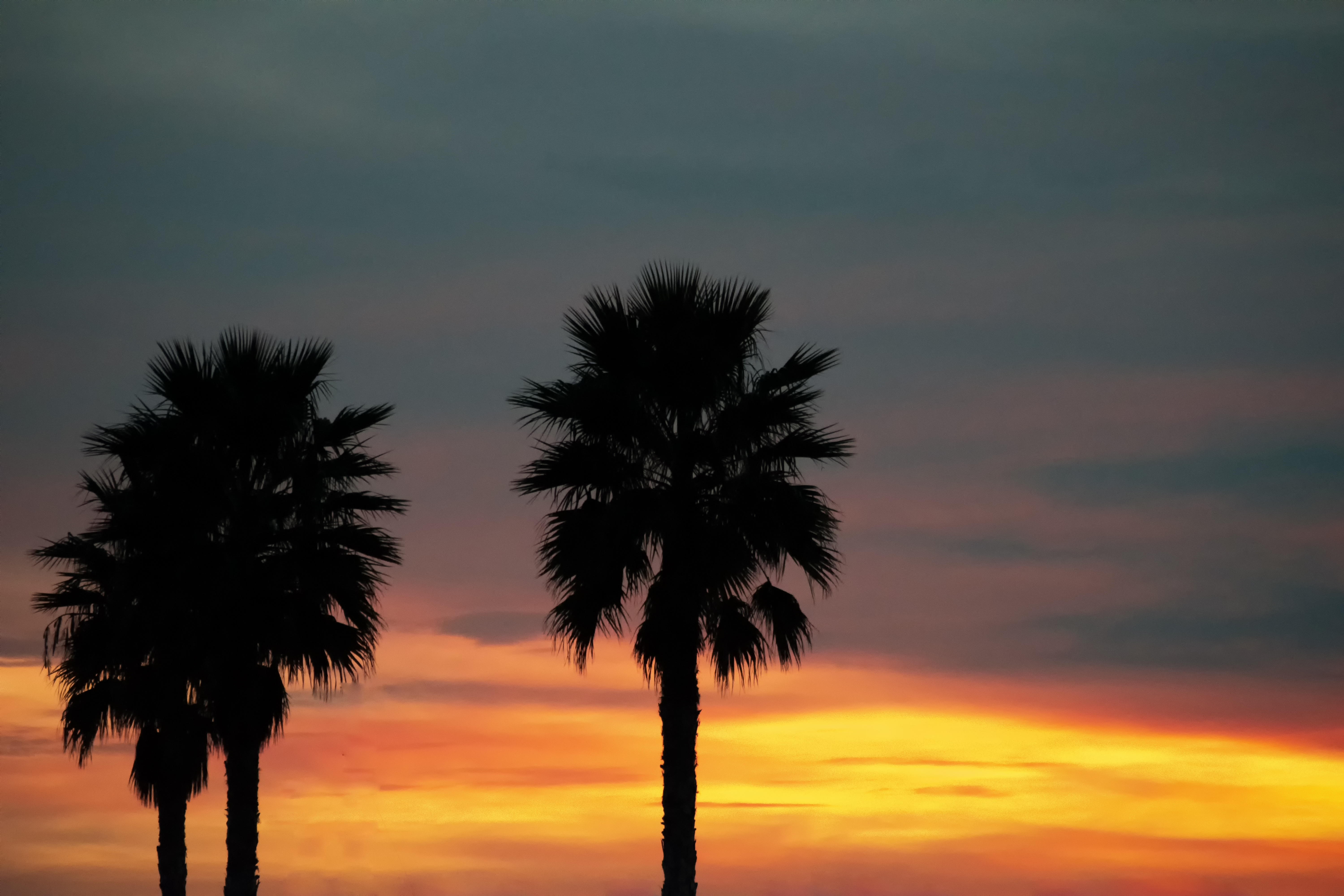 Handy-Wallpaper Natur, Sunset, Sky, Palm, Palms, Tropen, Palme kostenlos herunterladen.