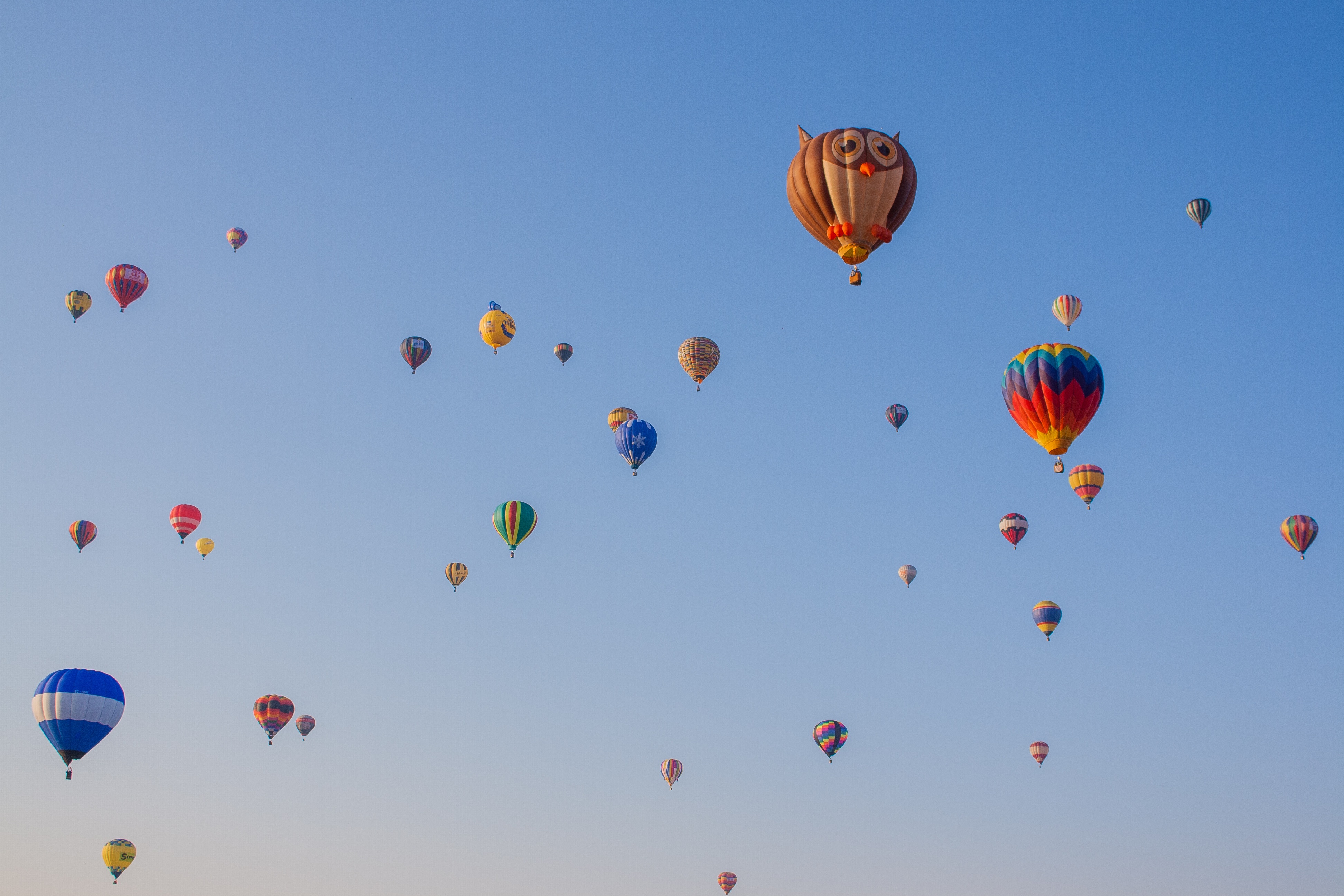 110999 скачать обои воздушные шары, сова, небо, разное, полет, аэростаты - заставки и картинки бесплатно