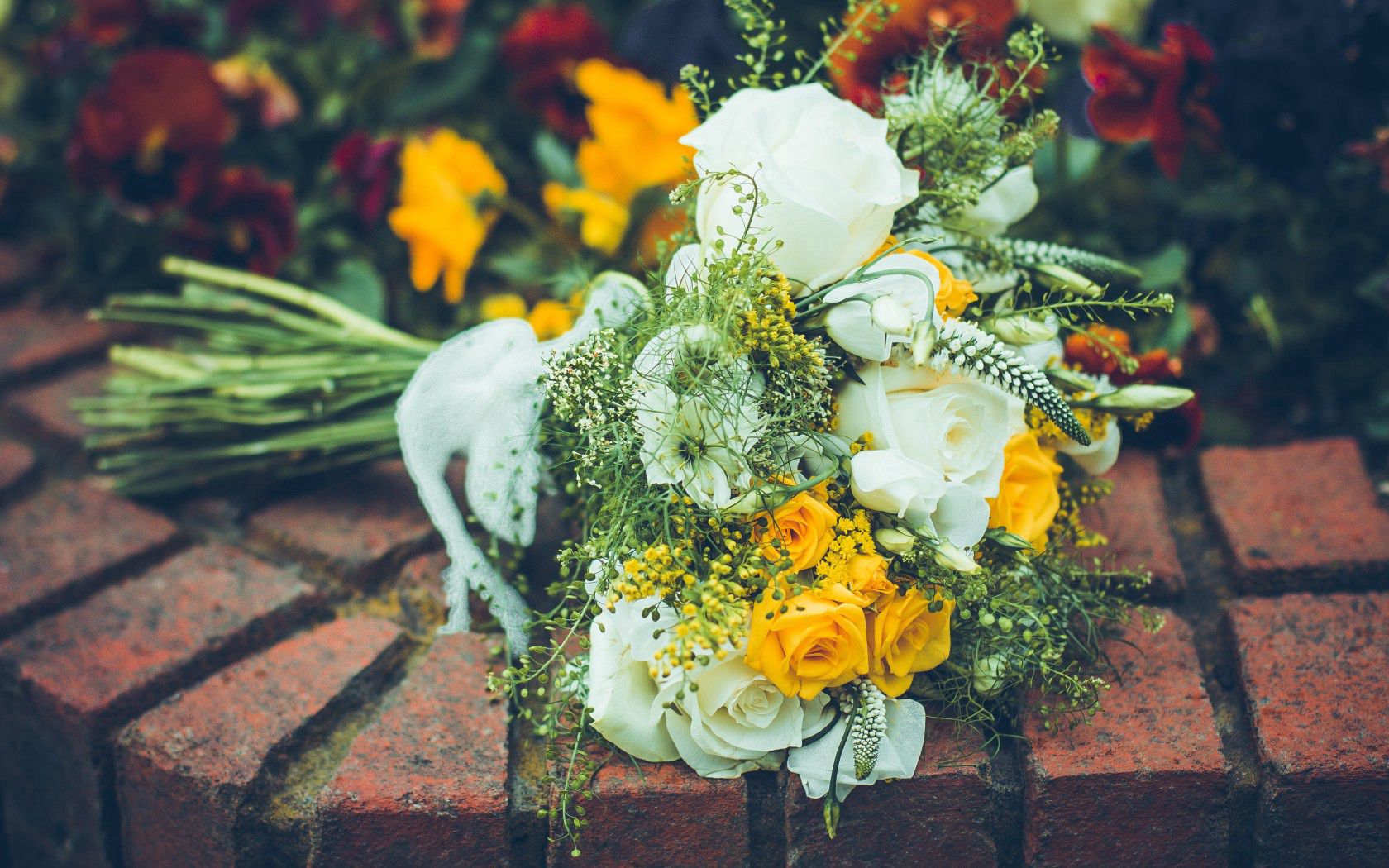 Download mobile wallpaper Bouquet, Petals, Composition, Flowers, Roses for free.