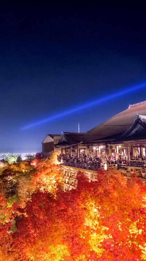 Download mobile wallpaper Night, Japan, Temple, Temples, Kyoto, Religious, Kiyomizu Dera for free.