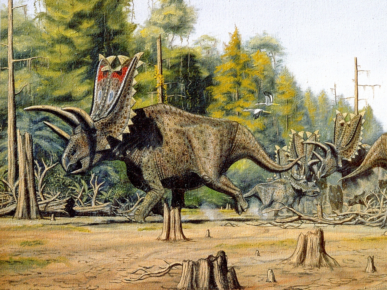 Скачать обои бесплатно Животные, Динозавр картинка на рабочий стол ПК