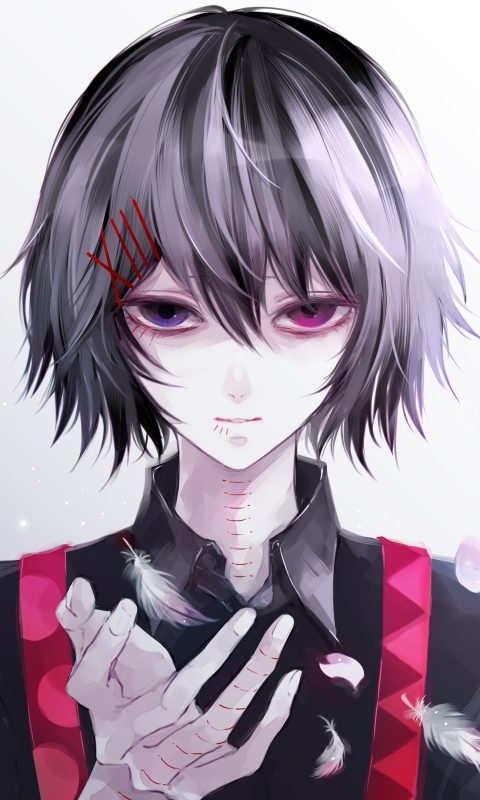 Handy-Wallpaper Graue Haare, Heterochromie, Animes, Tokyo Ghoul: Re, Juuzou Suzuya, Tokio Ghul kostenlos herunterladen.