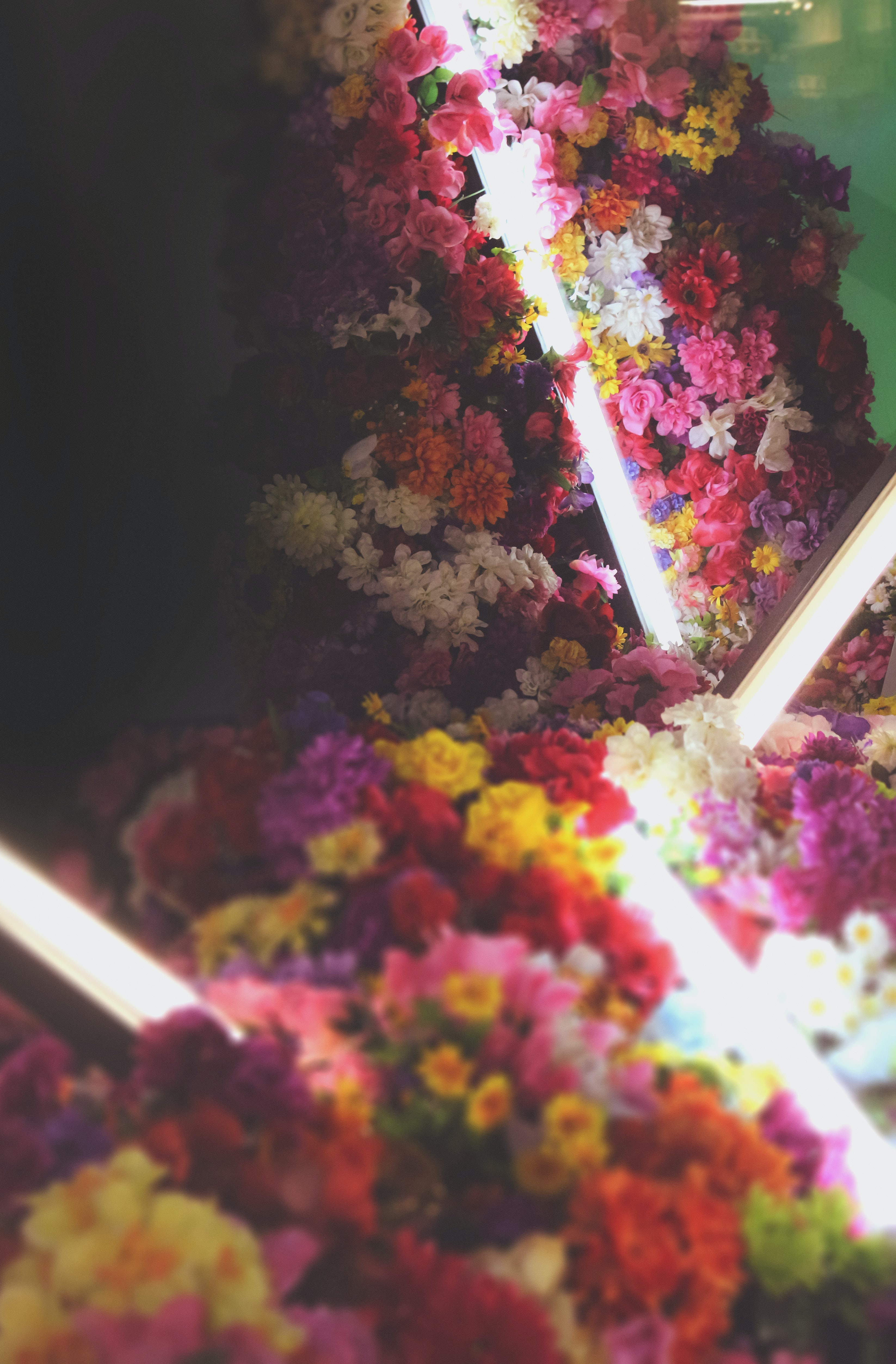 Download mobile wallpaper Bouquet, Shine, Flowers, Light, Neon for free.