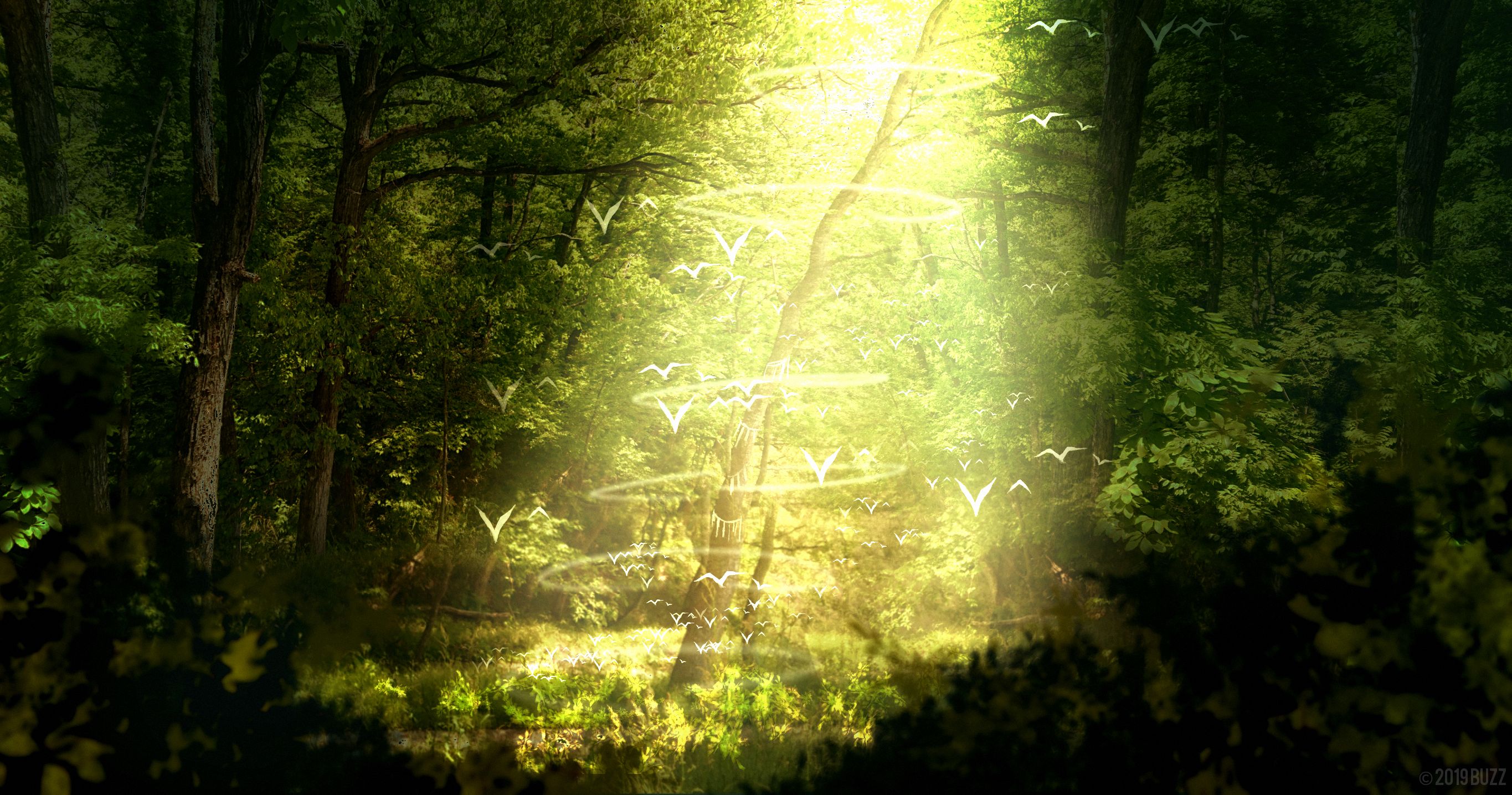 Laden Sie das Fantasie, Vogel, Wald, Baum, Animes-Bild kostenlos auf Ihren PC-Desktop herunter