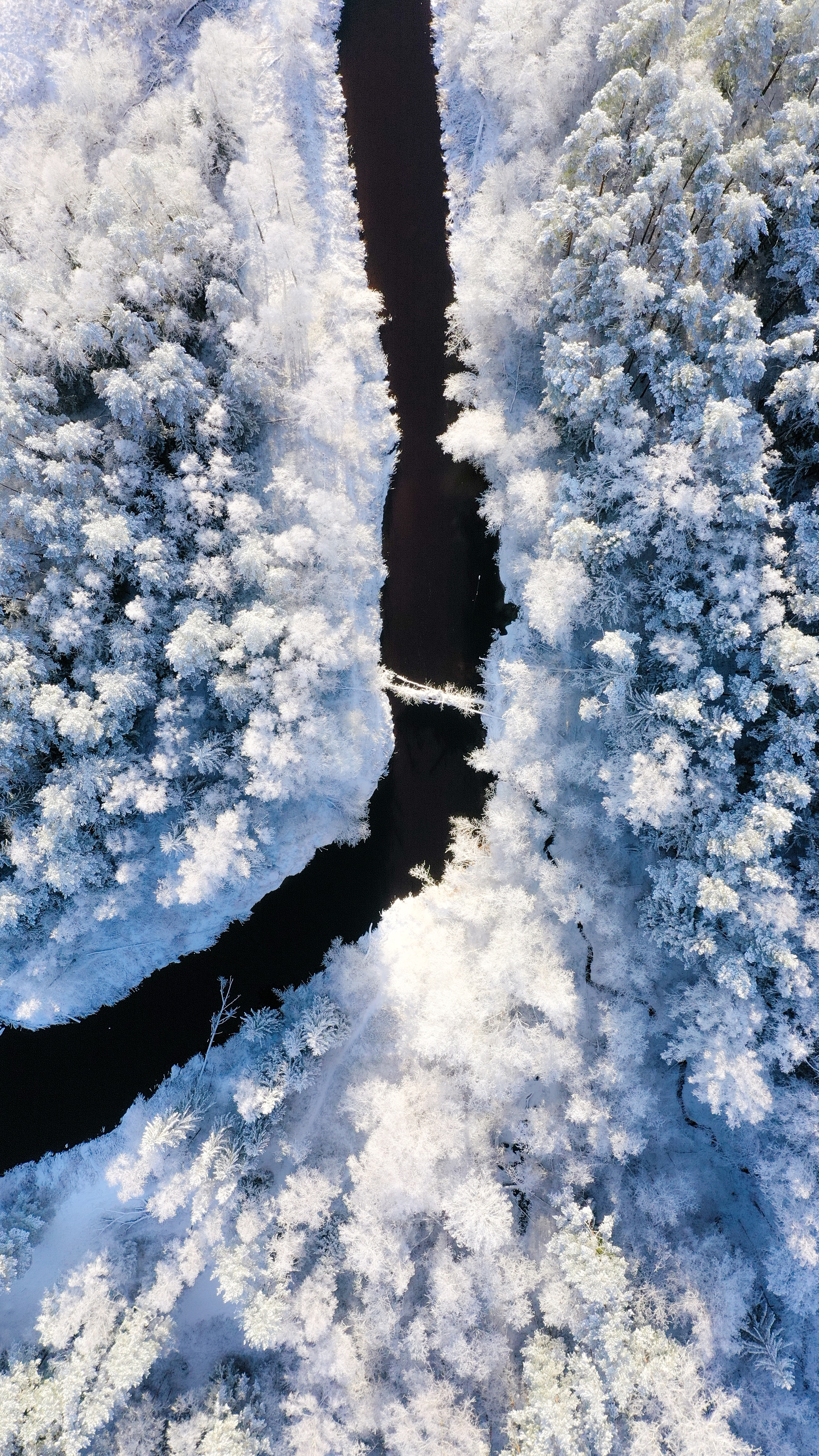 Скачать обои бесплатно Природа, Вид Сверху, Деревья, Снег, Река, Зима картинка на рабочий стол ПК