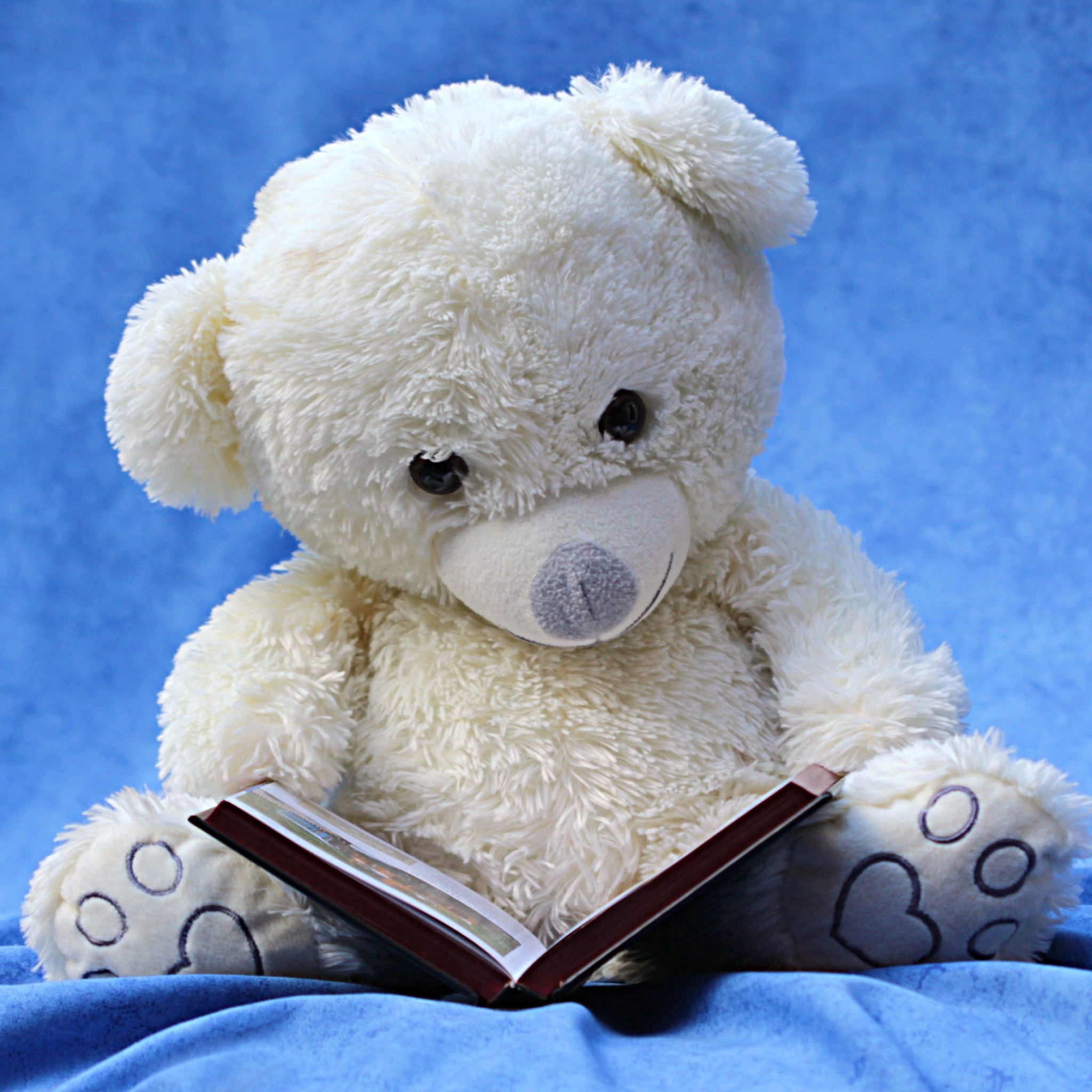 Handy-Wallpaper Spielzeug, Teddybär, Buch, Menschengemacht, Stillleben, Kuscheltier kostenlos herunterladen.