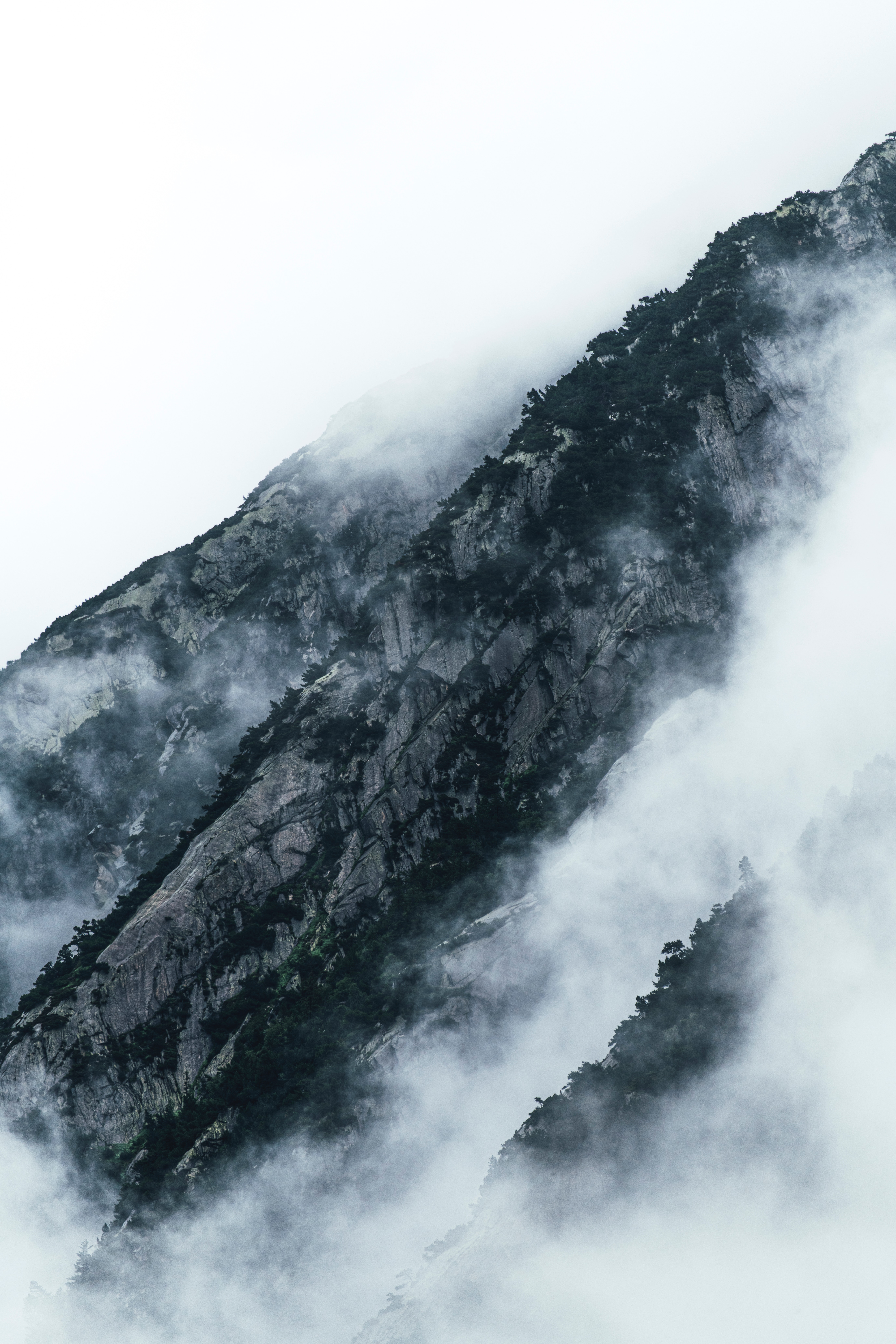 nature, mountains, clouds, fog, vegetation, slopes HD wallpaper