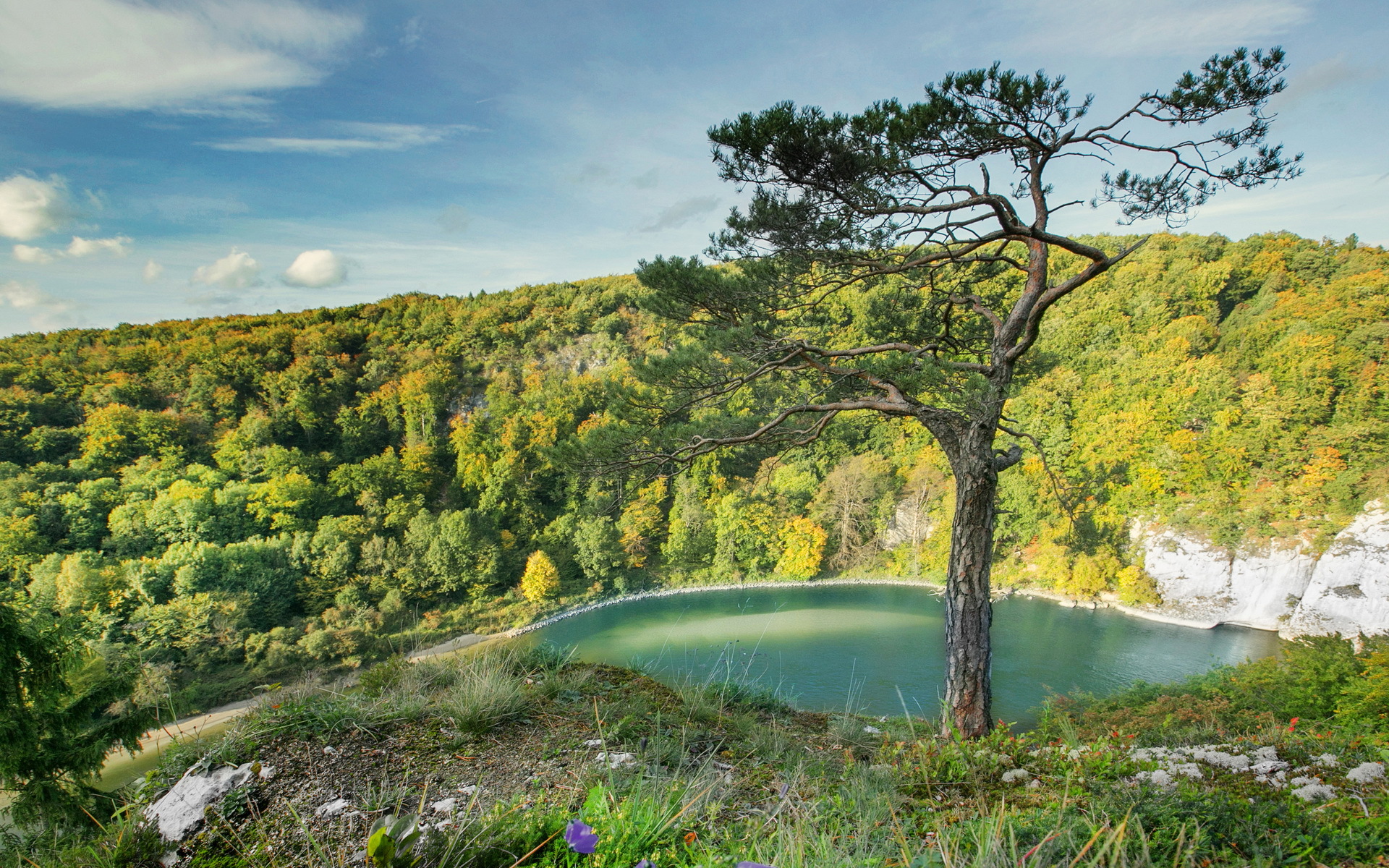Free download wallpaper Landscape, Nature, Lakes, Lake, Forest, Earth, Germany on your PC desktop