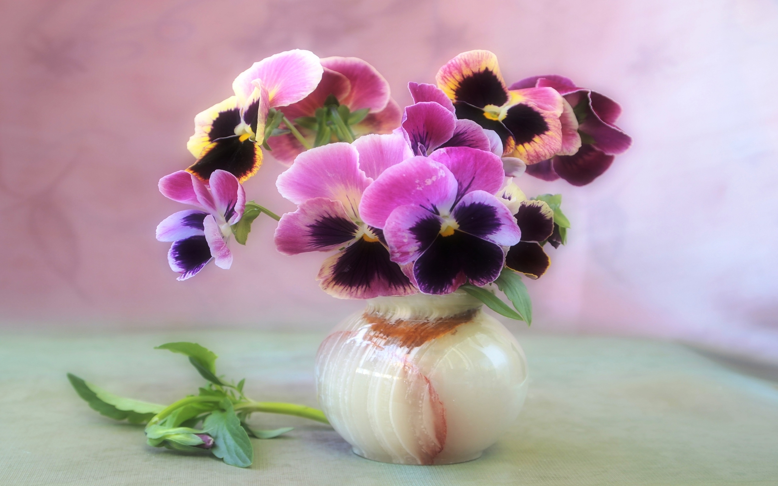 Download mobile wallpaper Flower, Vase, Purple Flower, Man Made, Pansy for free.