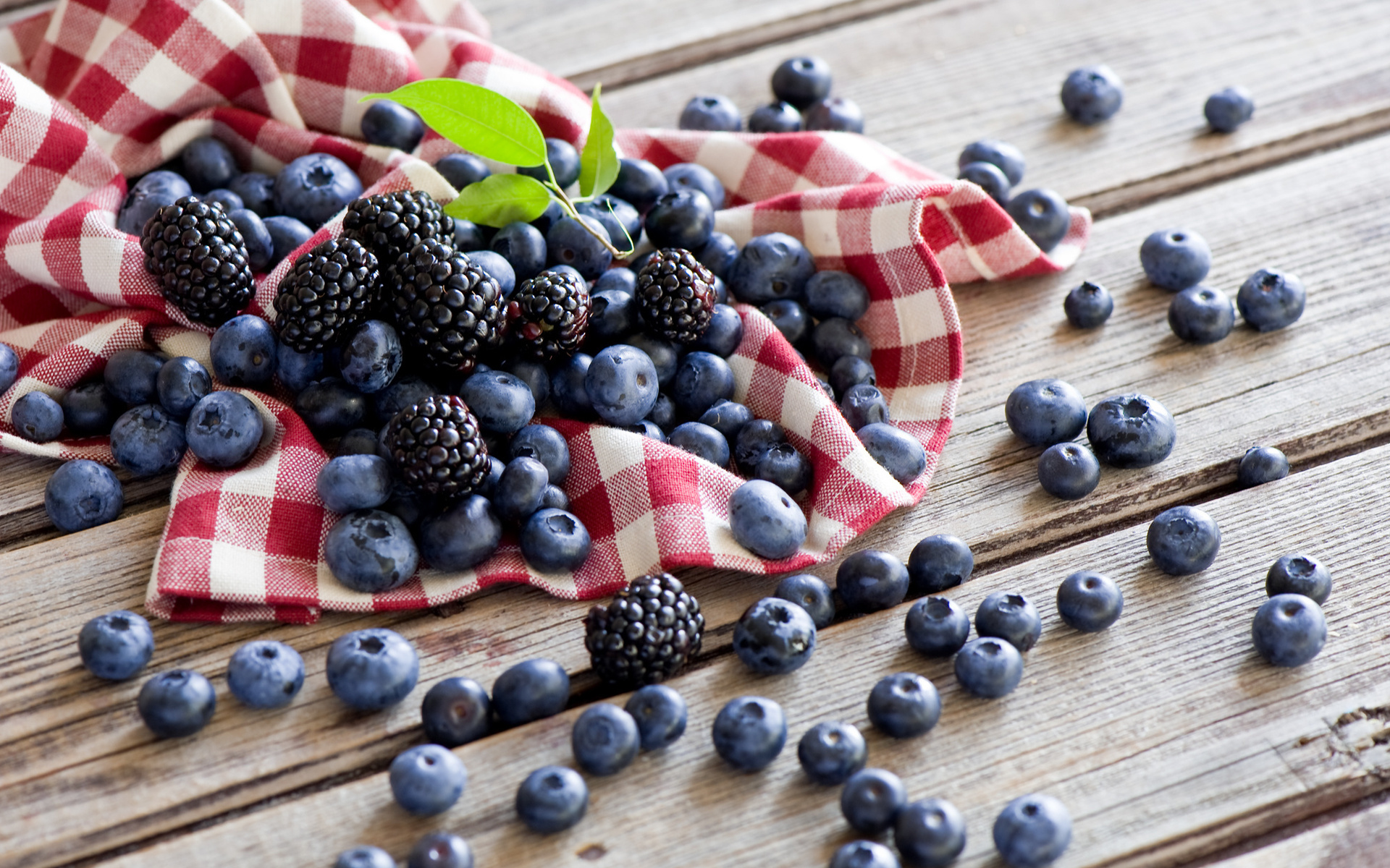 berries, plants, food, bilberries, blackberry