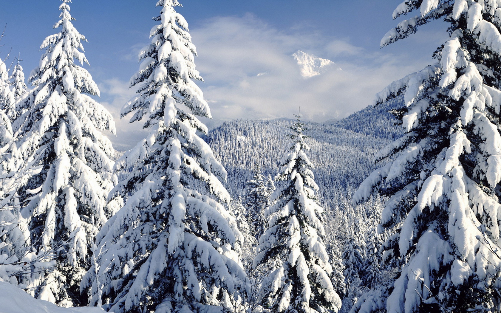 Baixar papel de parede para celular de Inverno, Neve, Montanha, Floresta, Árvore, Terra/natureza gratuito.