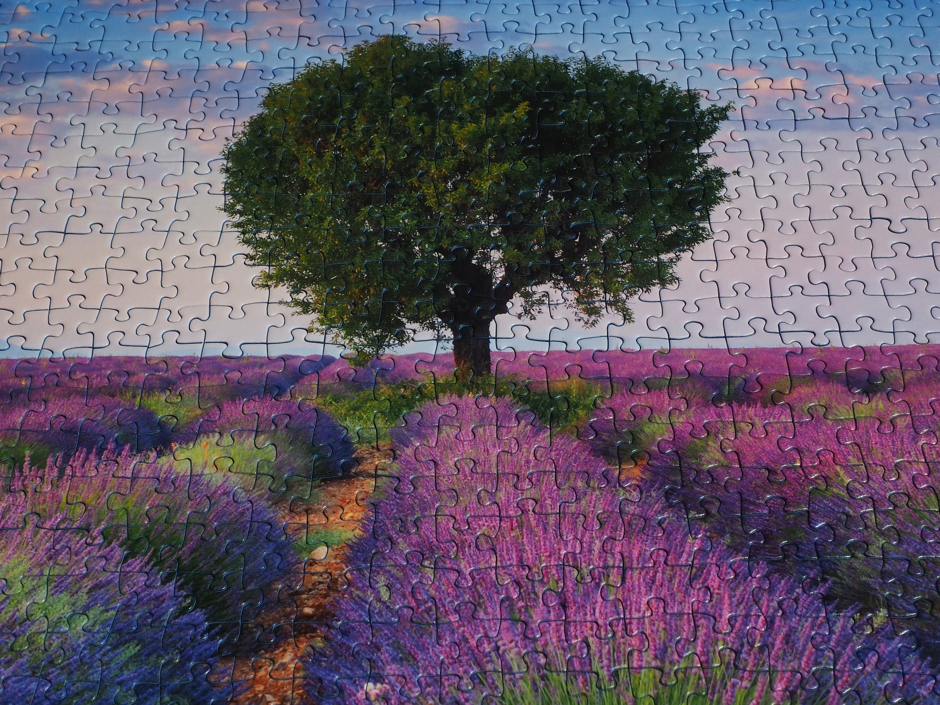 purple, game, puzzle, flower, lavender, lonely tree, manipulation, nature, tree