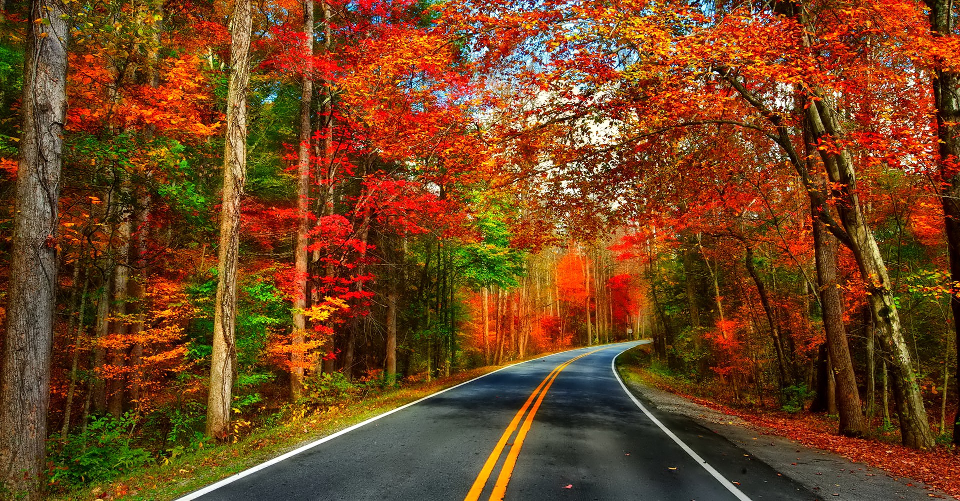 Download mobile wallpaper Road, Forest, Tree, Fall, Man Made for free.