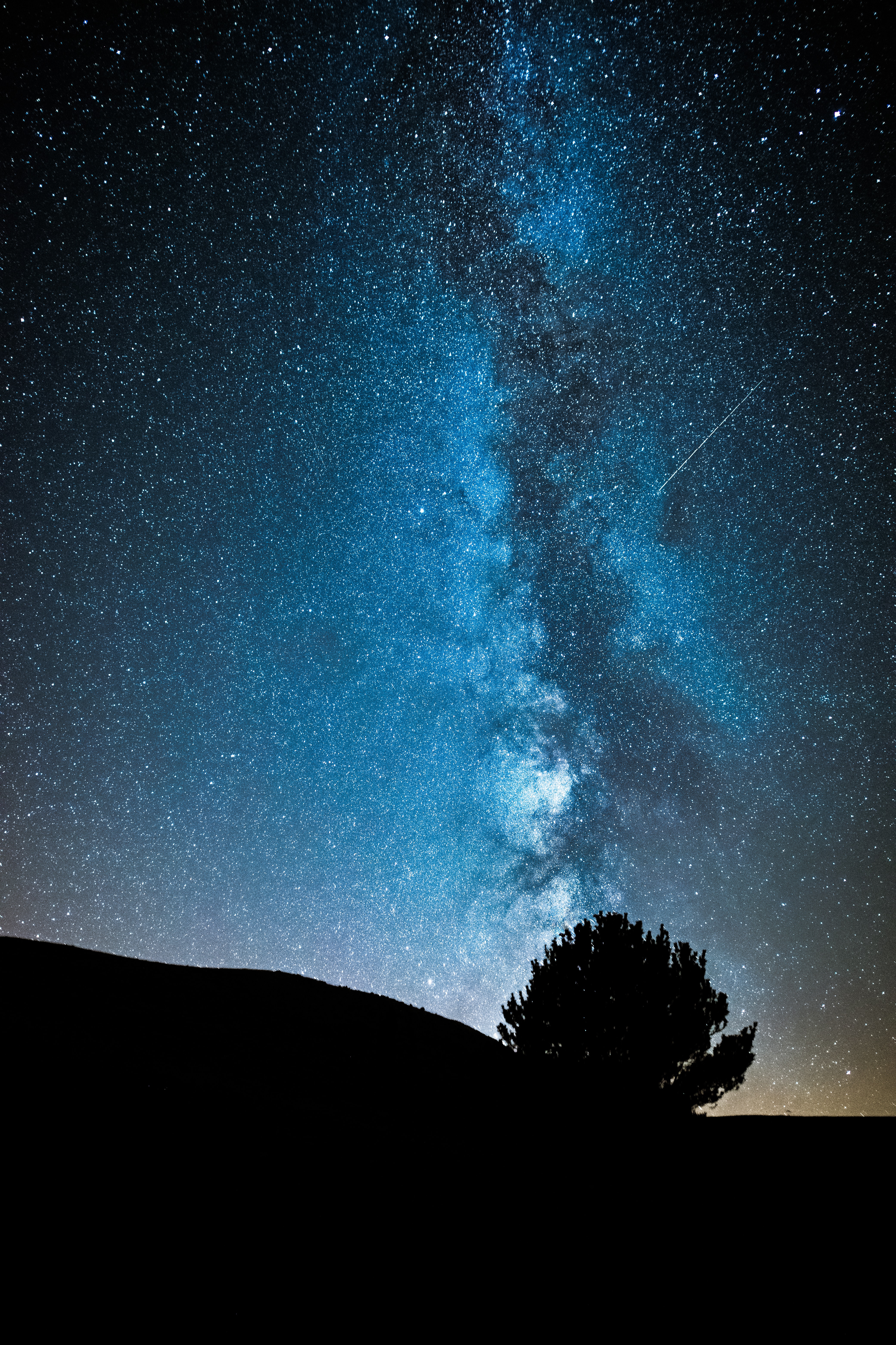 Free download wallpaper Night, Wood, Tree, Starry Sky, Stars, Dark, Milky Way on your PC desktop