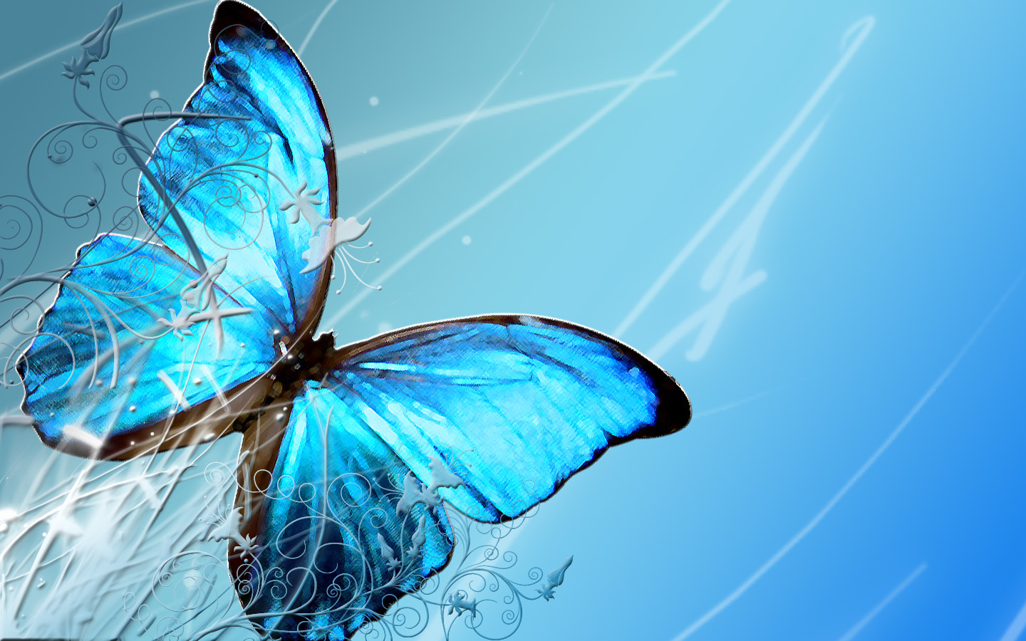 Laden Sie das Schmetterlinge, Tiere-Bild kostenlos auf Ihren PC-Desktop herunter