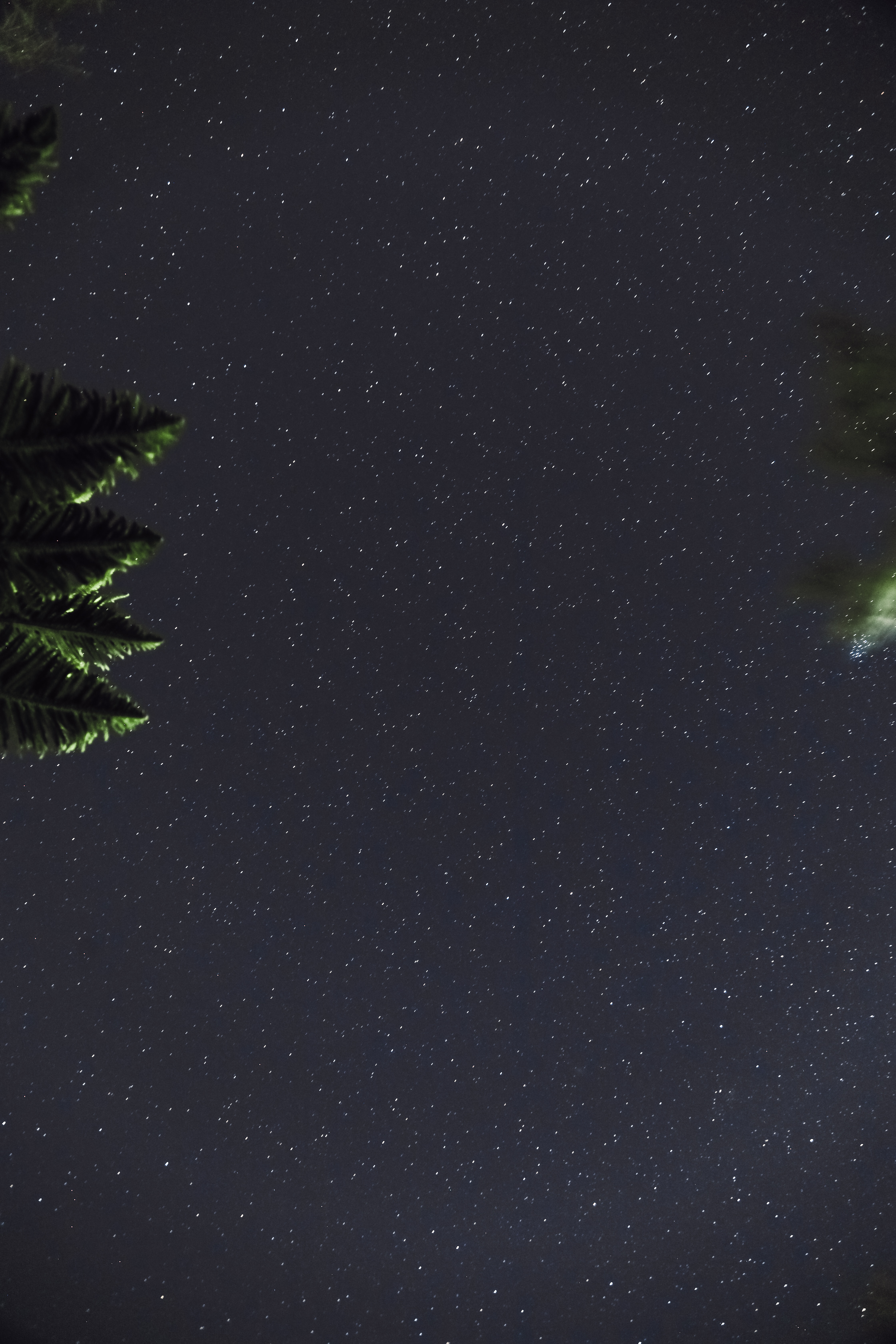 Free download wallpaper Leaves, Night, Branches, Dark, Starry Sky on your PC desktop