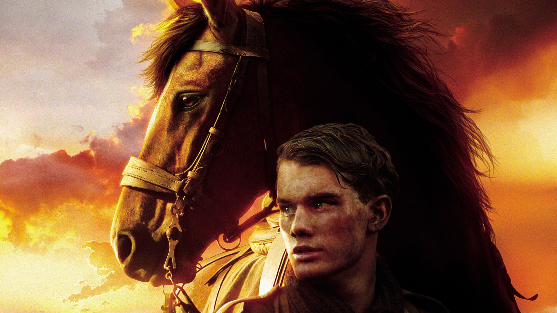 movie, war horse