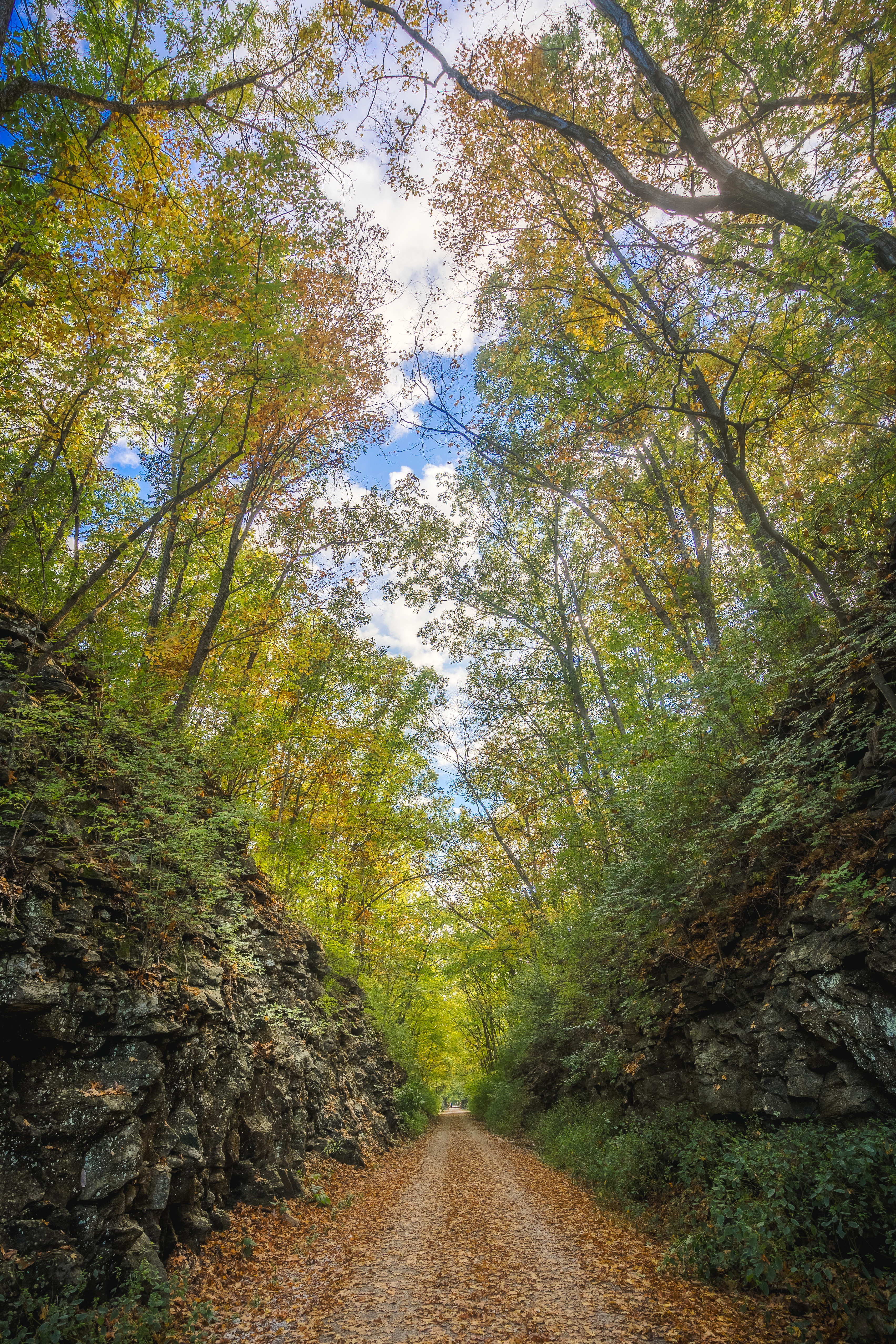 rock, nature, road, alley, stone, foliage phone background