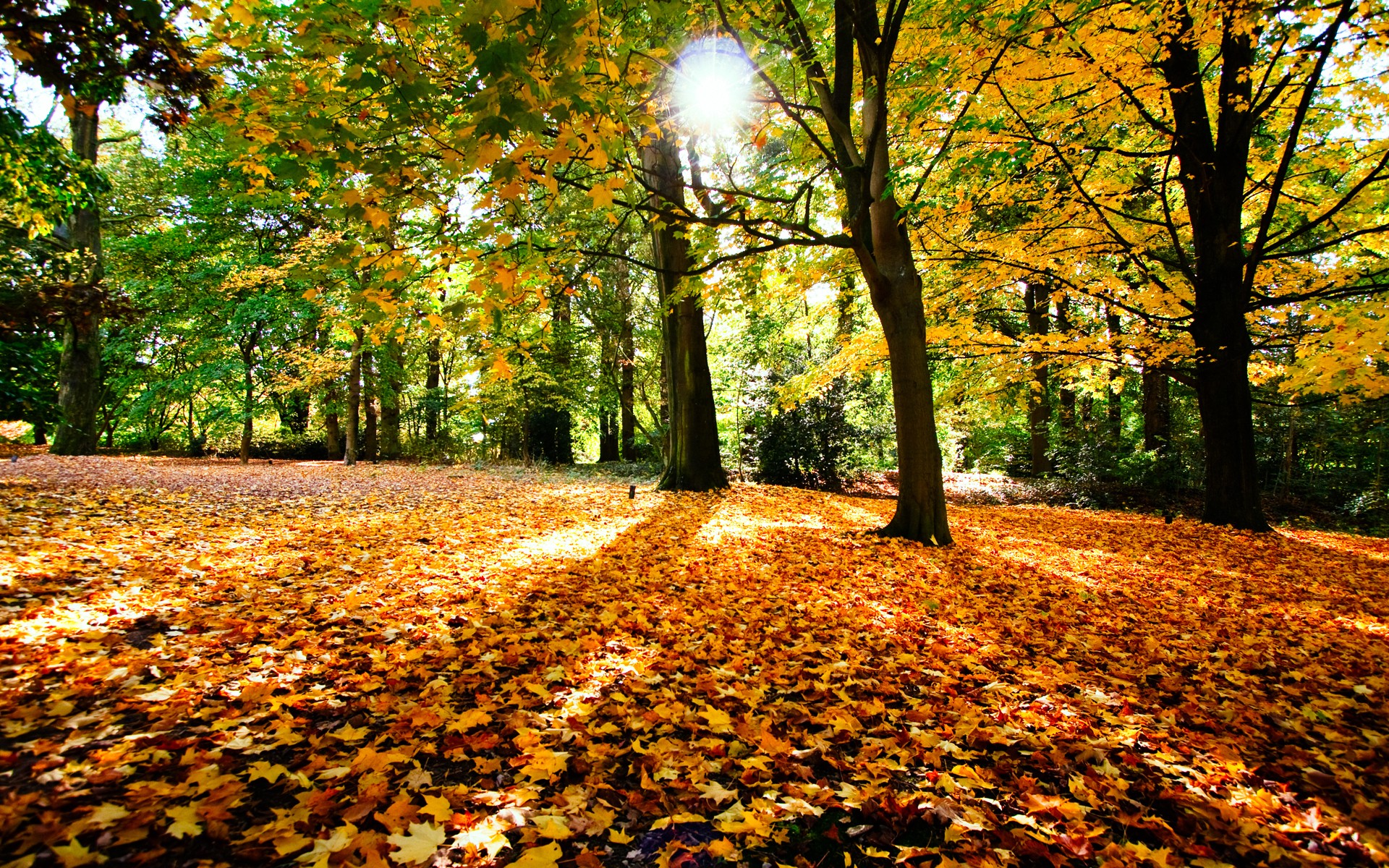 Free download wallpaper Fall, Earth on your PC desktop