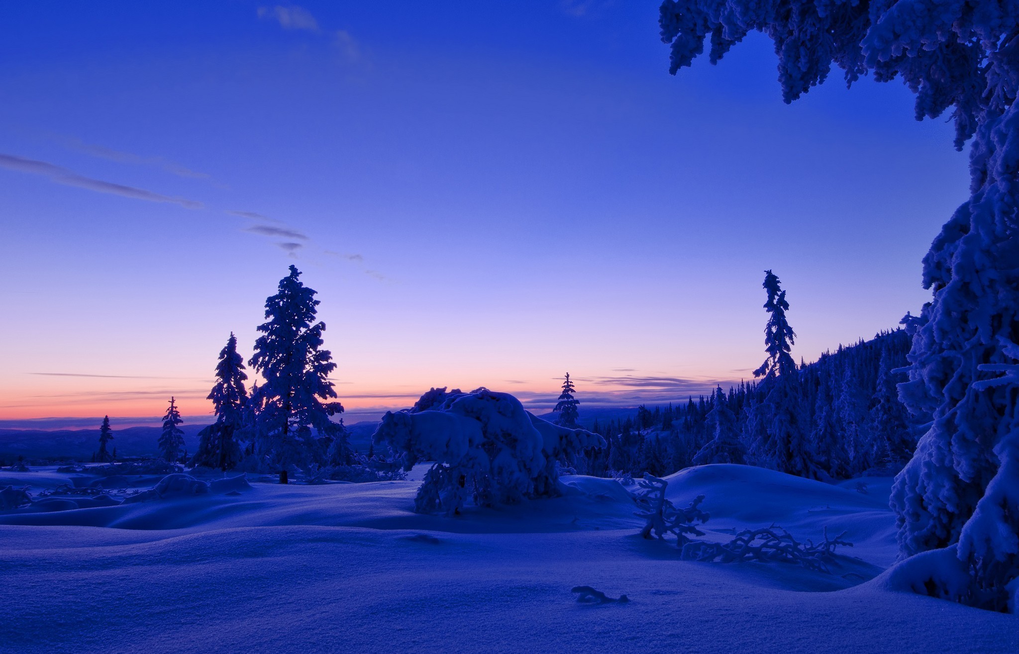 Free download wallpaper Winter, Tree, Earth, Evening on your PC desktop