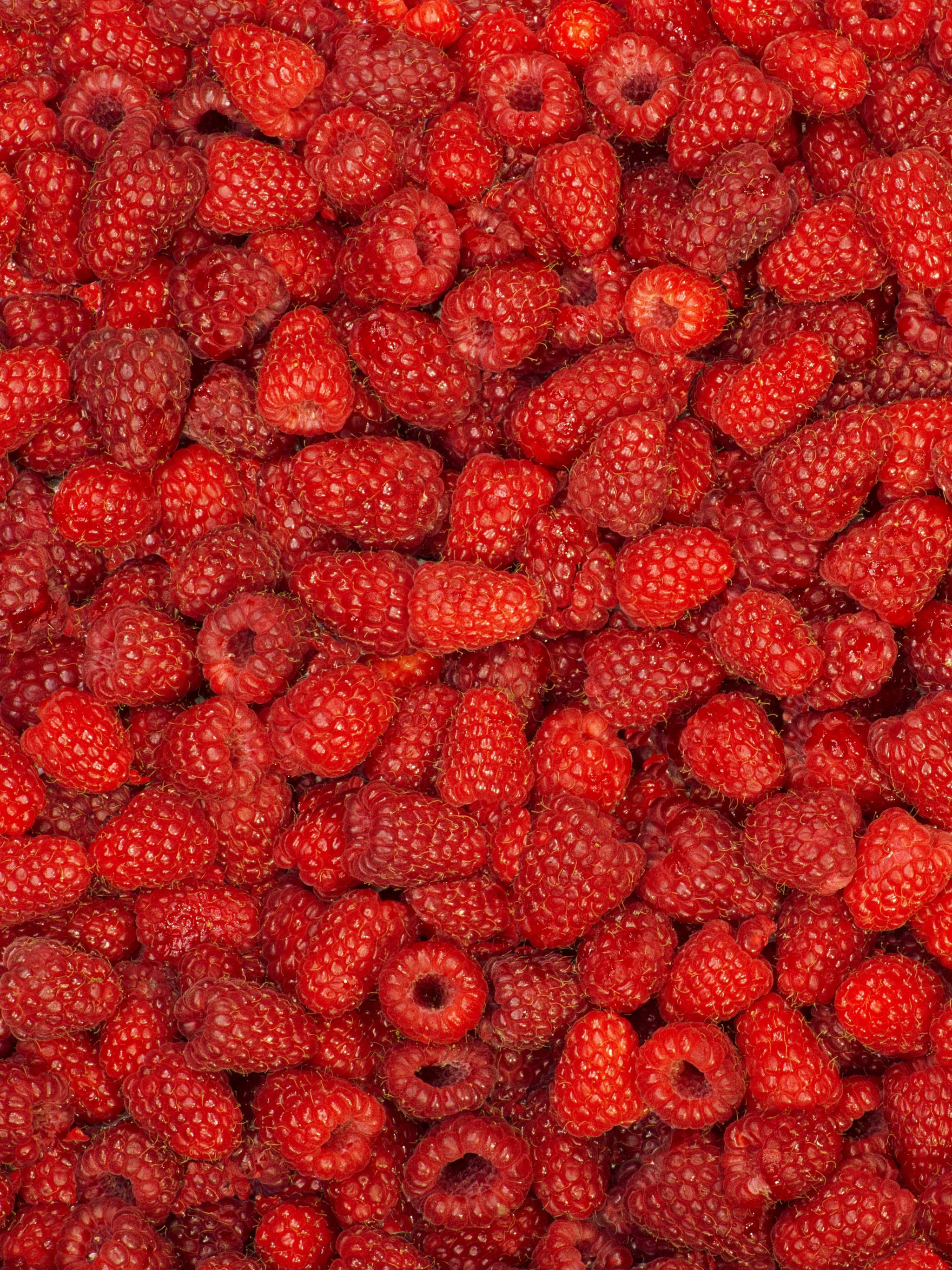 Descarga gratis la imagen Frutas, Frambuesa, Baya, Fruta, Alimento en el escritorio de tu PC