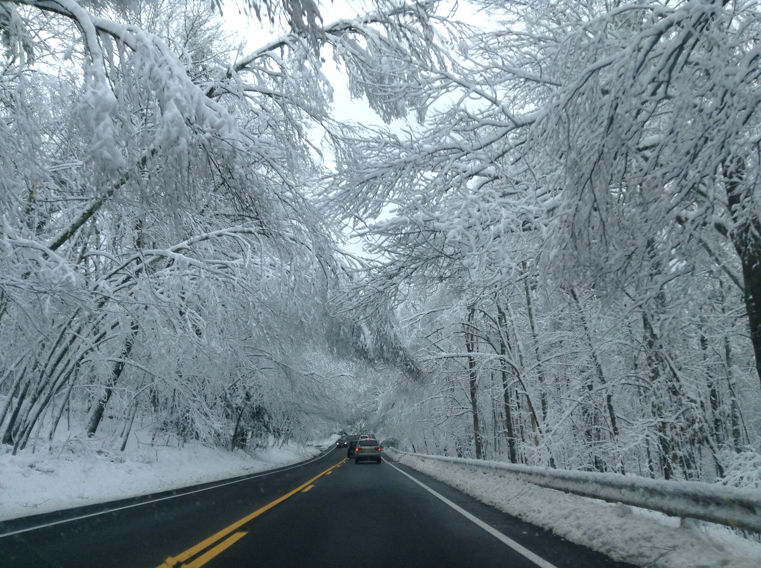 Baixe gratuitamente a imagem Inverno, Fotografia na área de trabalho do seu PC