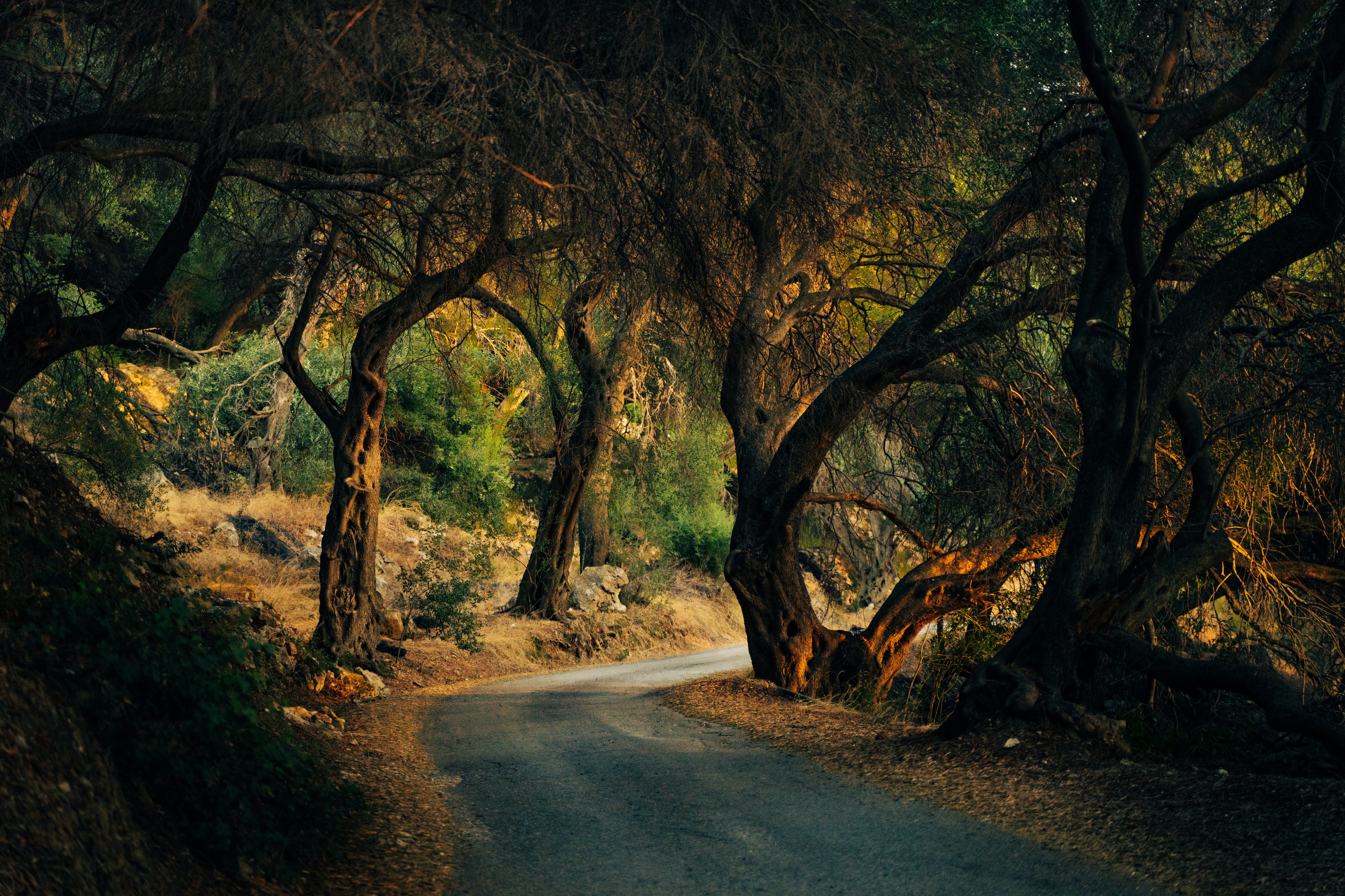 Descarga gratuita de fondo de pantalla para móvil de Carretera, Hecho Por El Hombre.