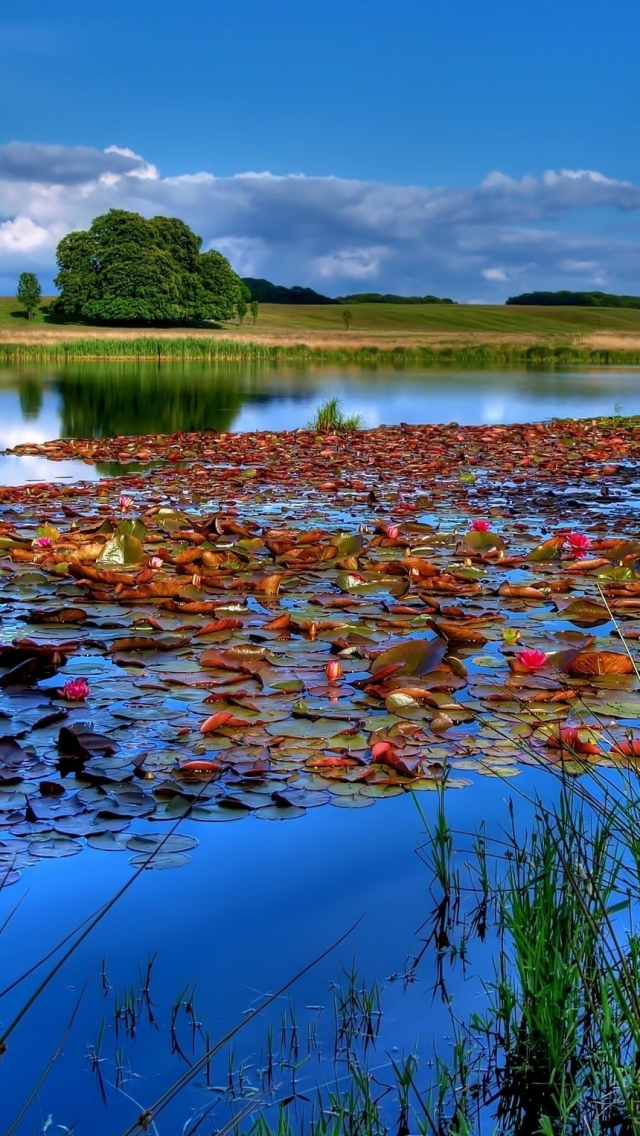 Descarga gratuita de fondo de pantalla para móvil de Lagos, Lago, Tierra/naturaleza.