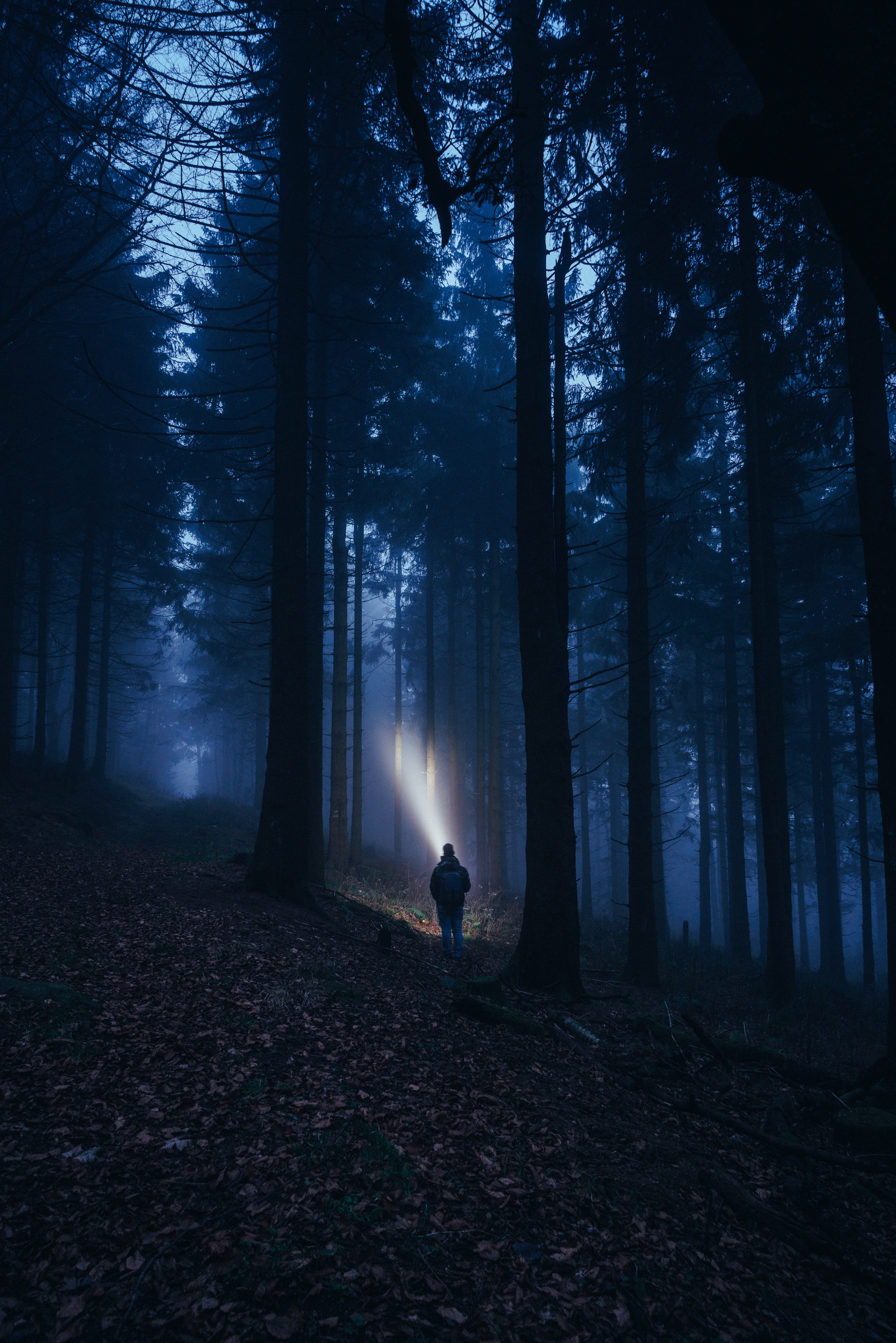 127750 скачать картинку фонарик, темные, лес, туман, темный, человек - обои и заставки бесплатно