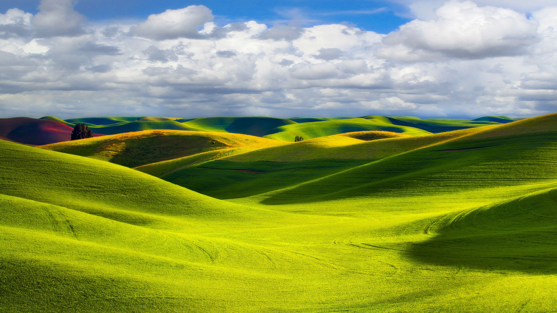 Download mobile wallpaper Field, Earth for free.