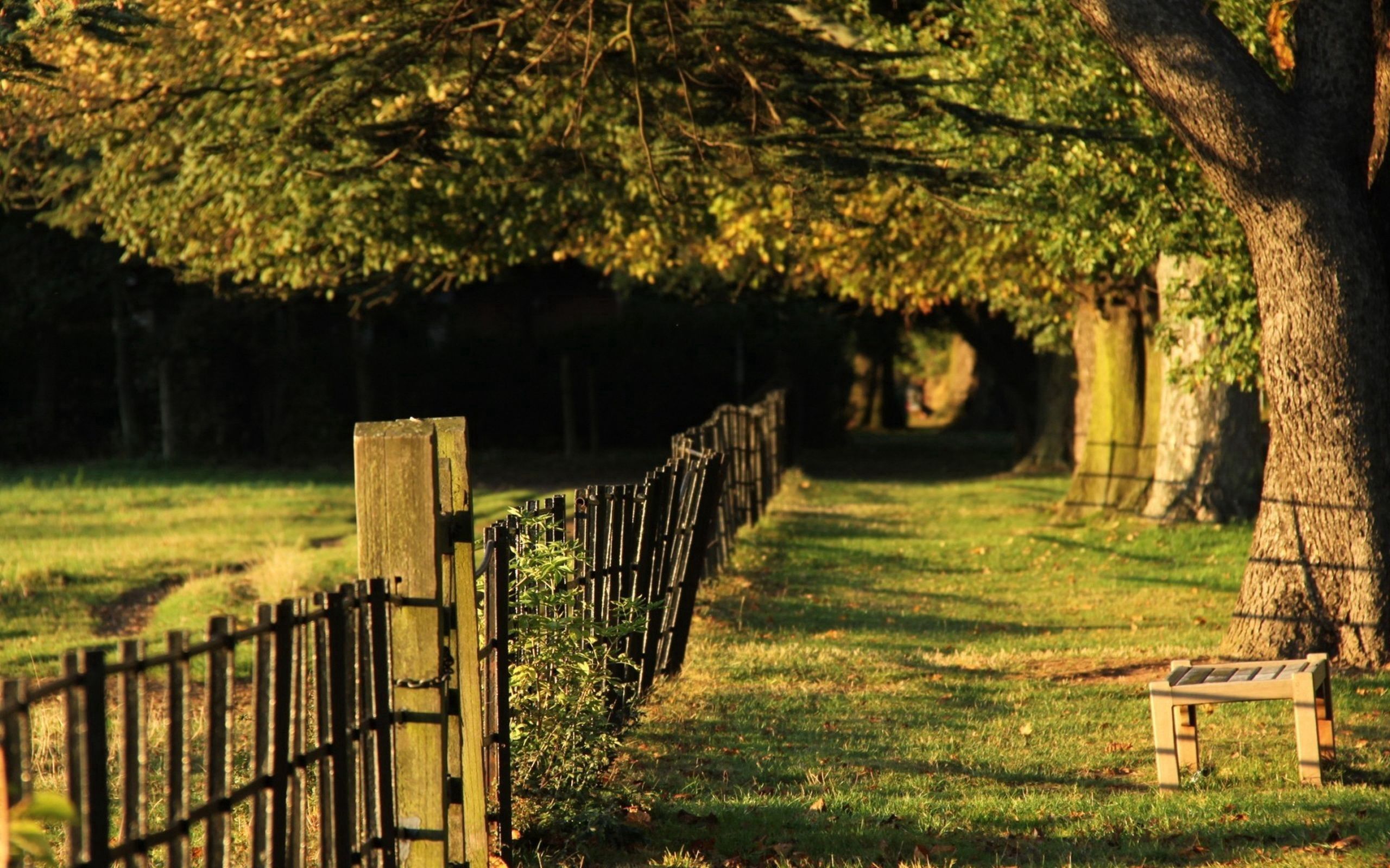 Download mobile wallpaper Grass, Fence, Trees, Nature for free.